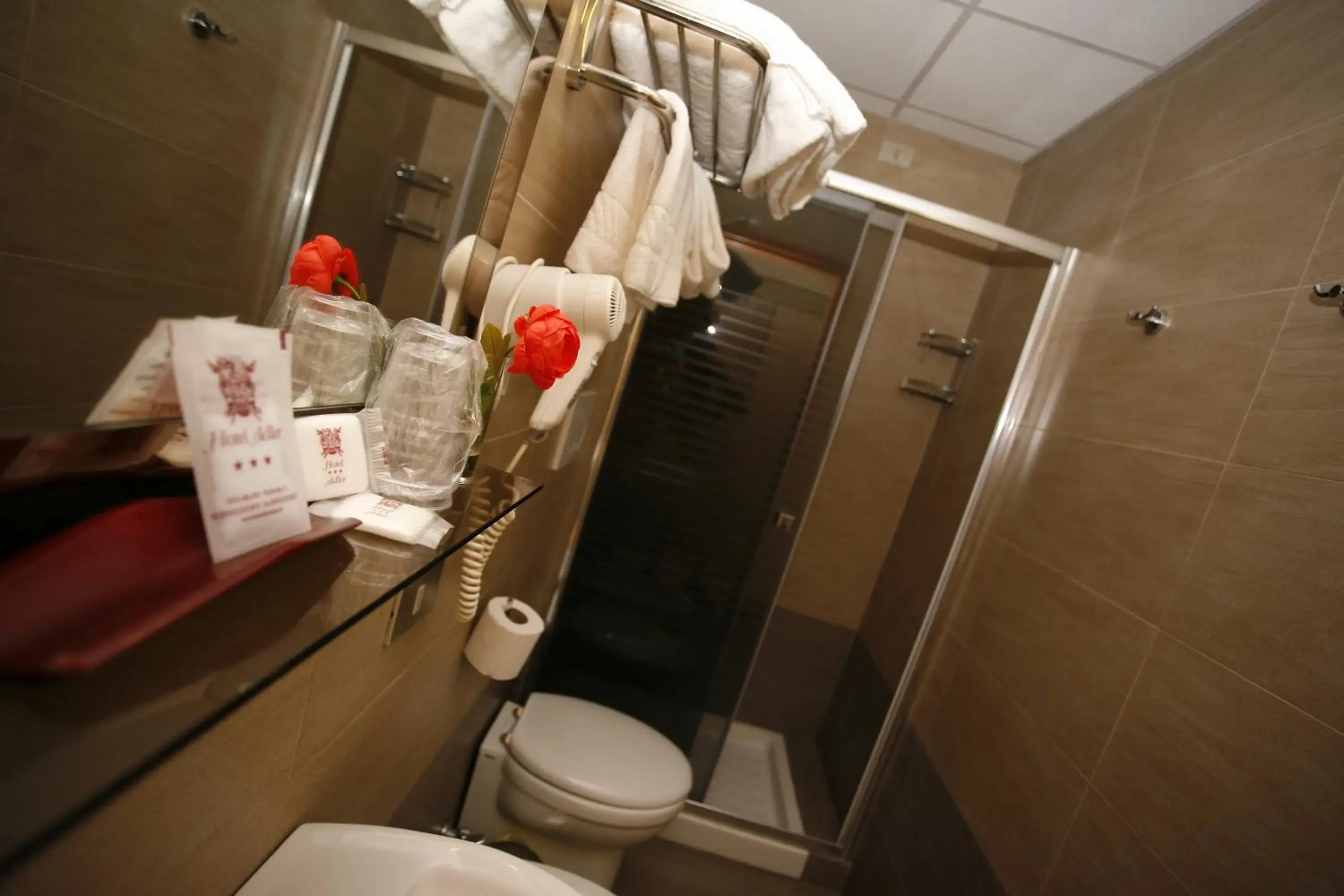 Shower, Bathroom in Hotel Adler