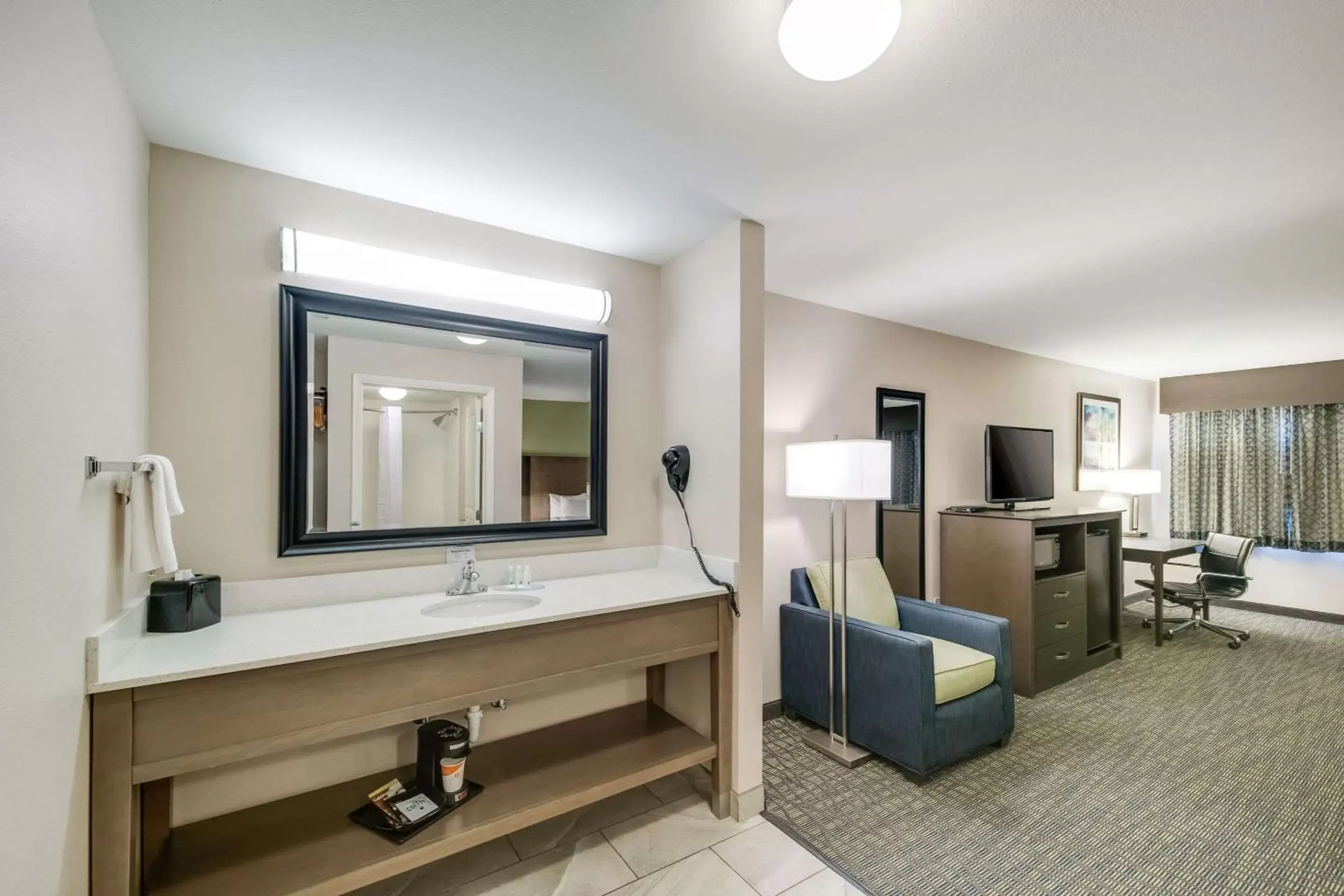 TV and multimedia, Bathroom in Quality Inn & Suites