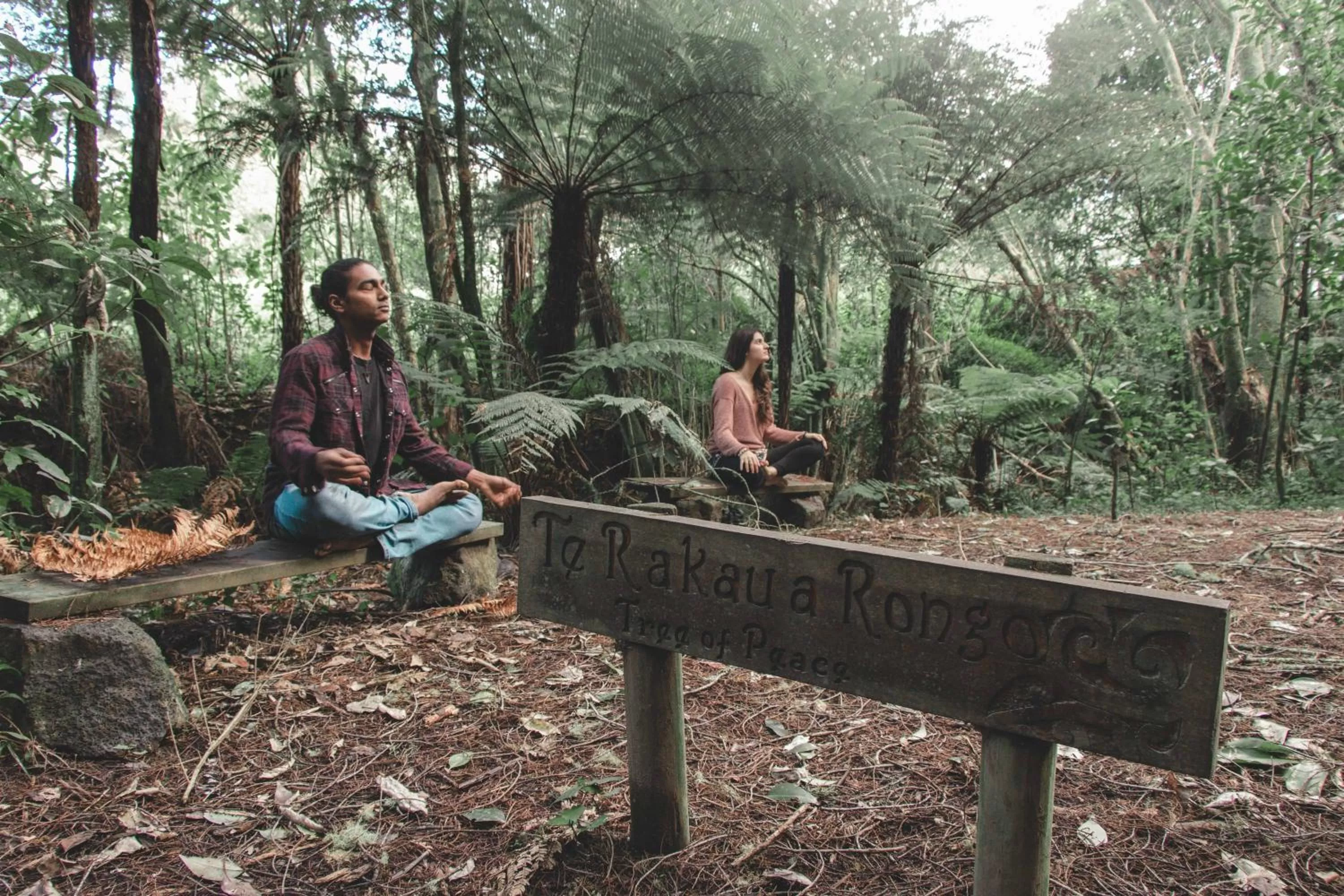 Garden in Kawai Purapura Yoga Retreat Centre