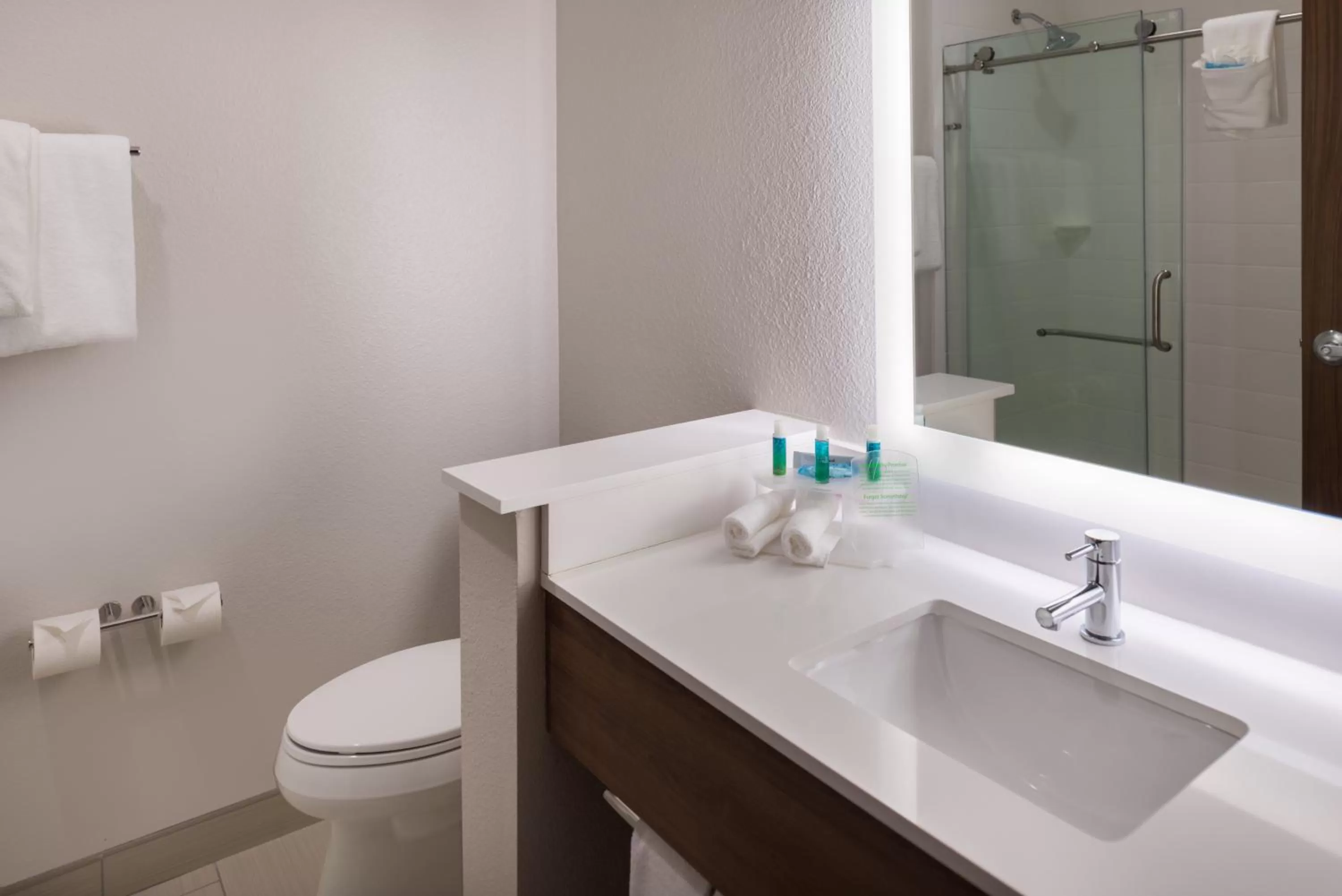 King room - Disability Access Hearing Accessible in Holiday Inn Express Fort Worth West, an IHG Hotel