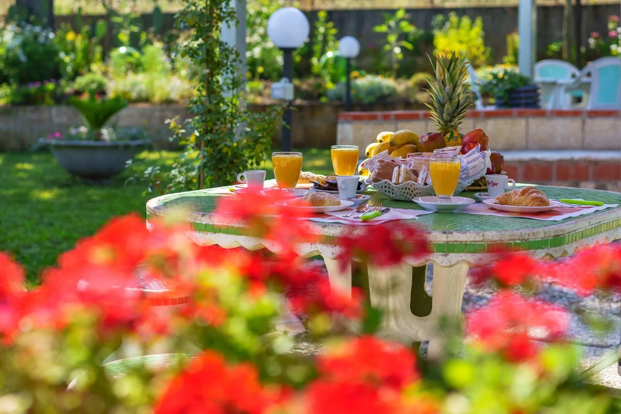 Garden in B&B Villa Le Mattine