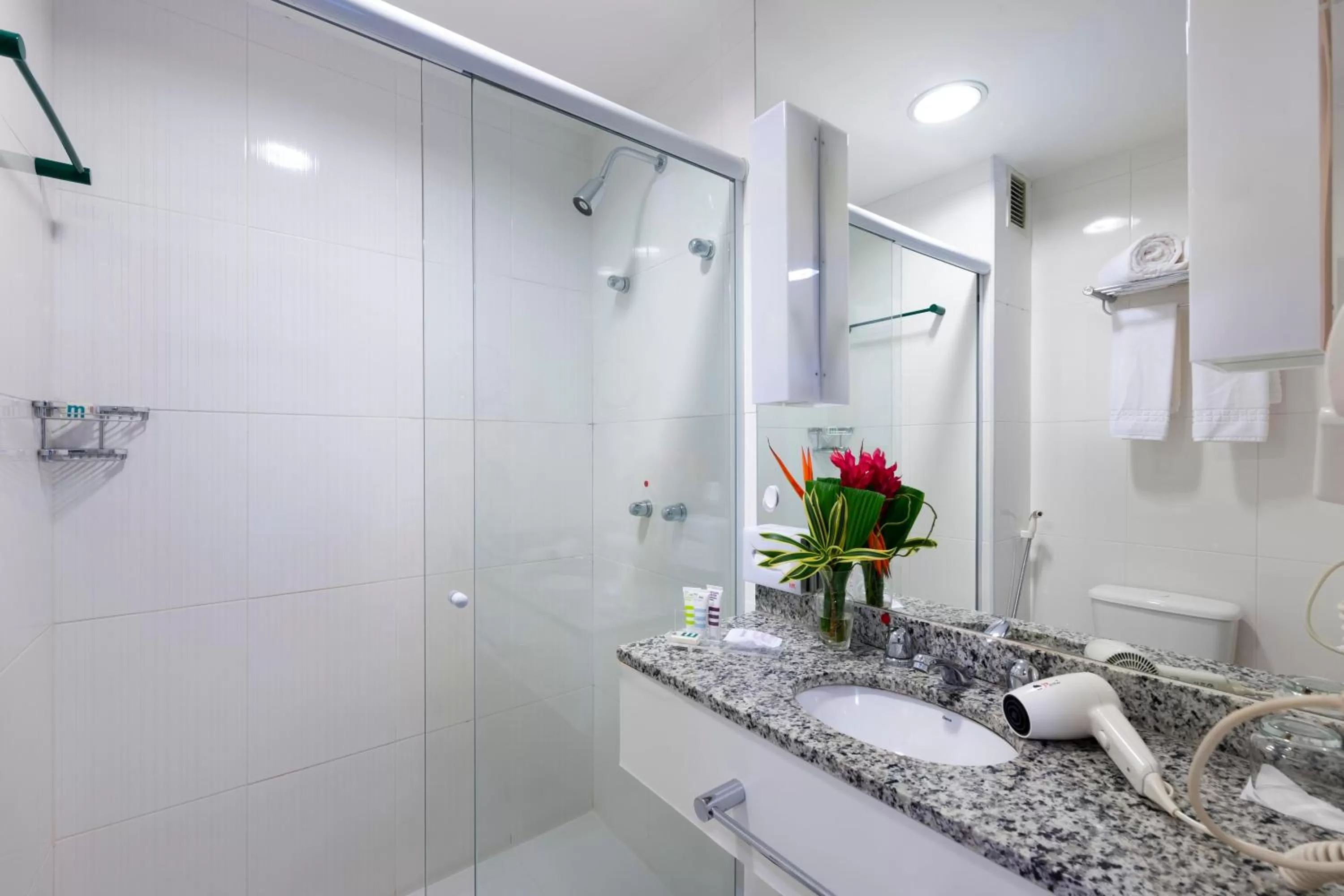 Shower in Mercure Rio de Janeiro Nova Iguaçu