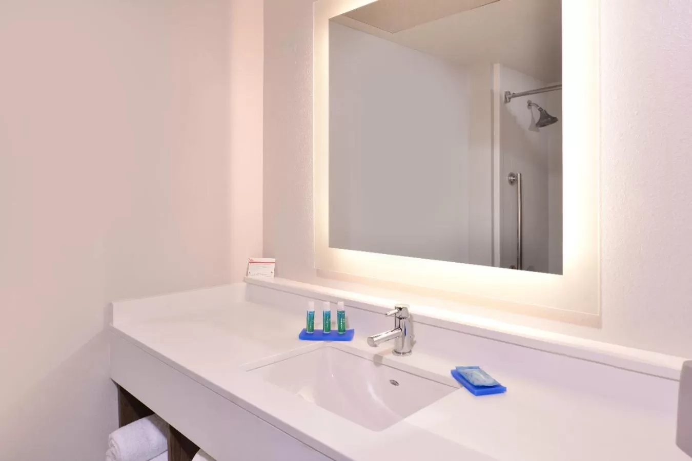 Bathroom in Holiday Inn Express Hotel and Suites Mesquite, an IHG Hotel