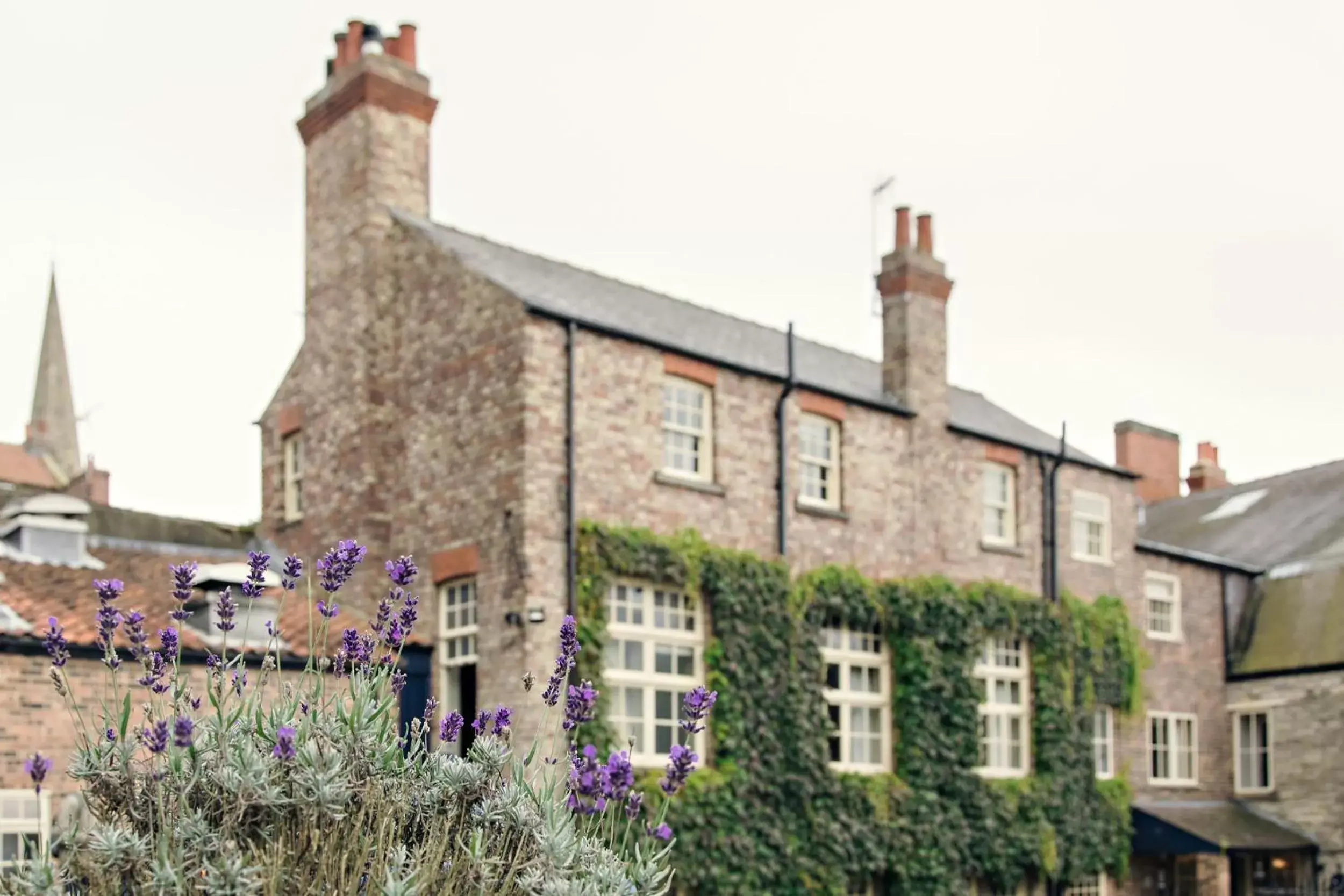 Property Building in The White Swan Inn