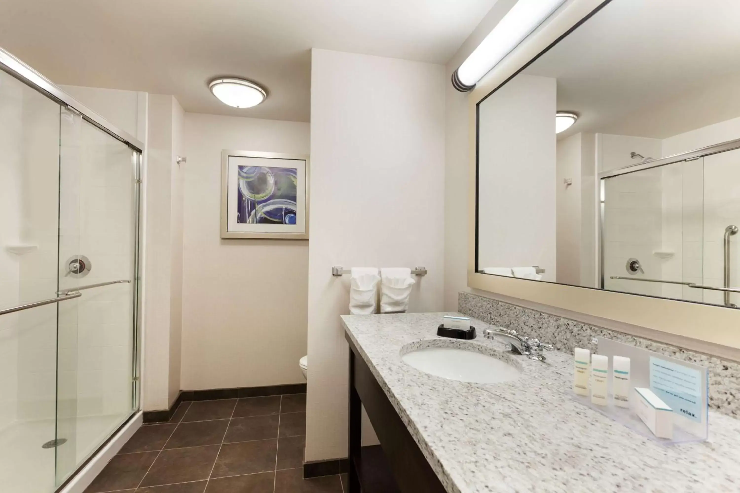 Bathroom in Hampton Inn and Suites Camp Springs
