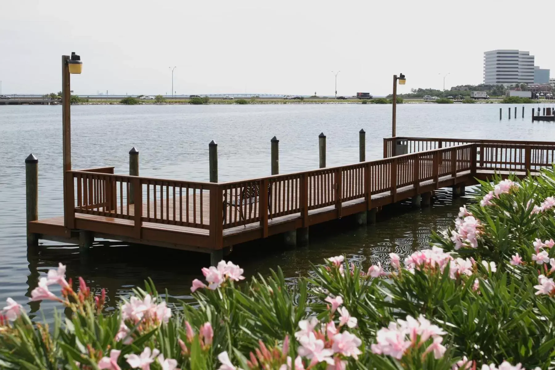 Natural landscape in Chase Suite Hotel Rocky Point Tampa