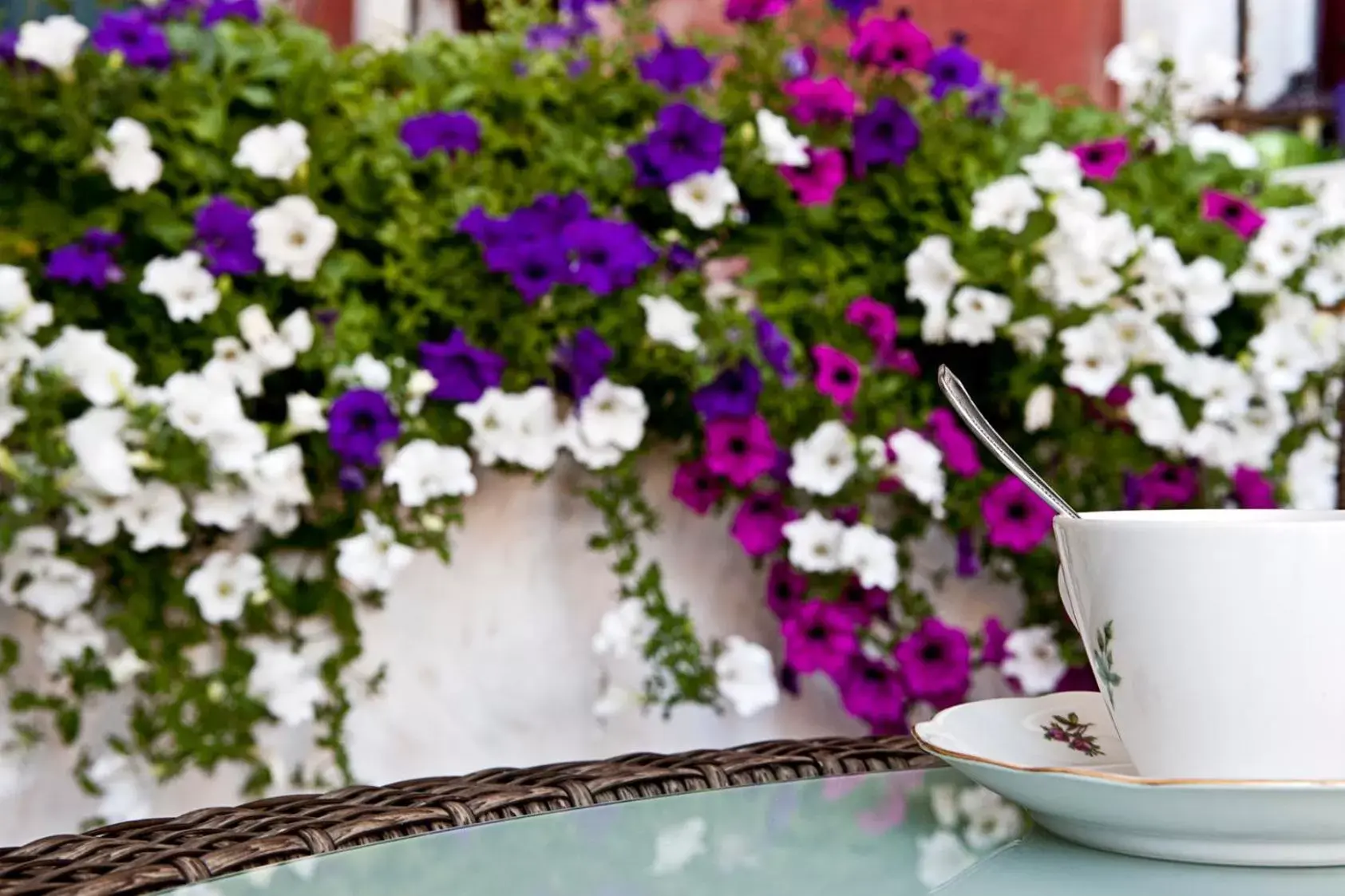 Balcony/Terrace in B&B Arabesque