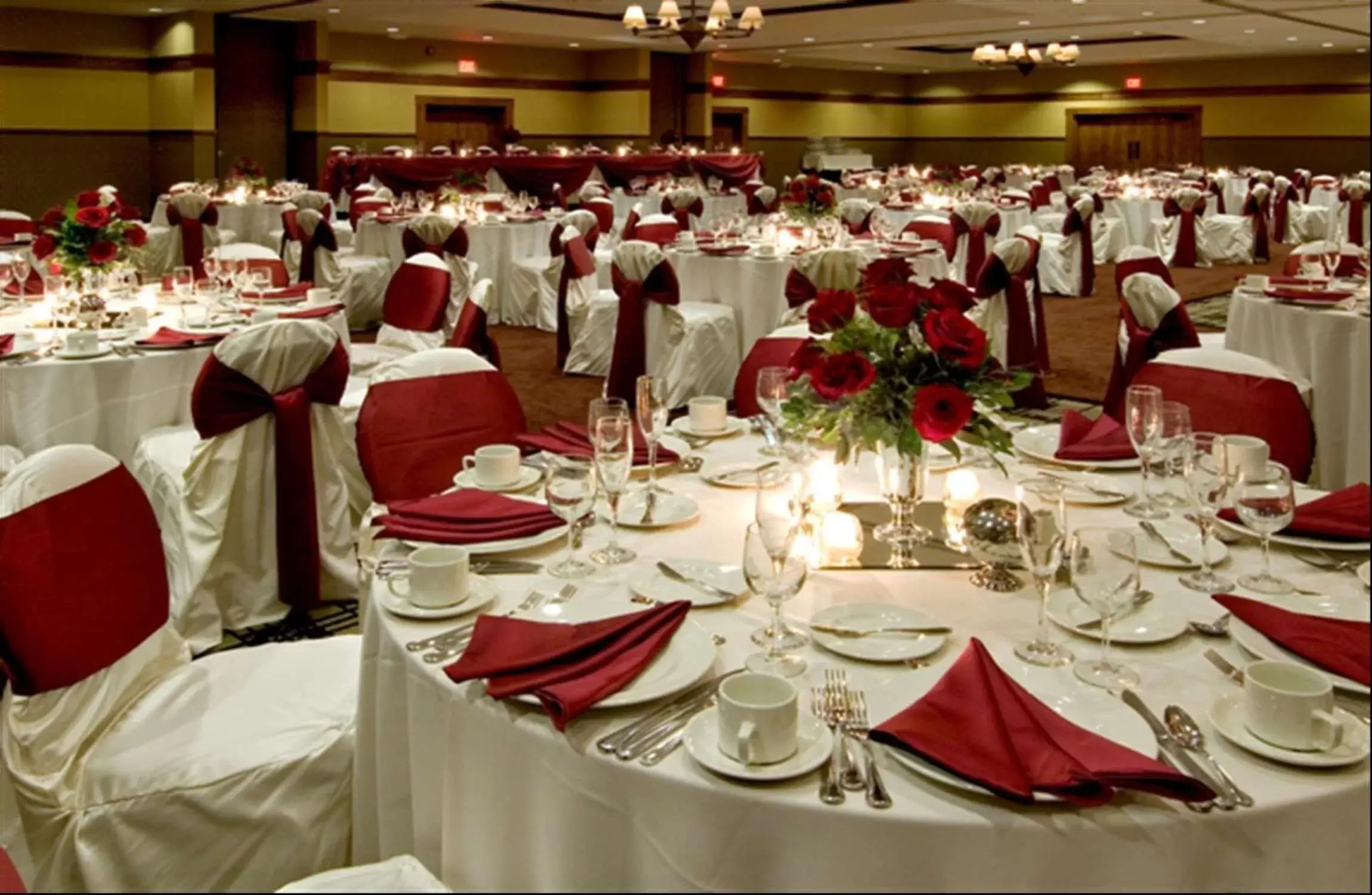 Meeting/conference room, Banquet Facilities in DoubleTree by Hilton Libertyville-Mundelein