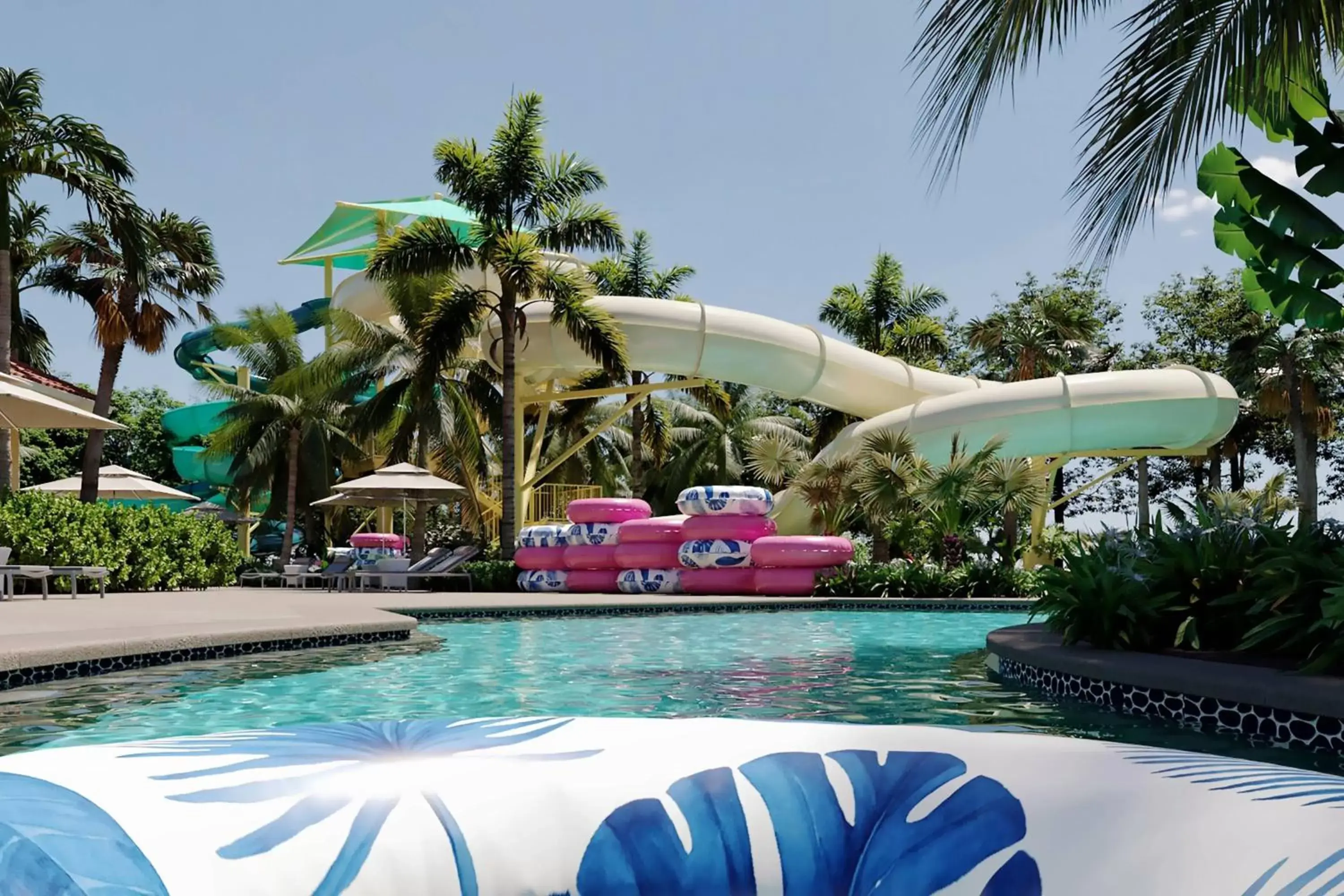 Area and facilities, Swimming Pool in The Ritz-Carlton Naples, Tiburón