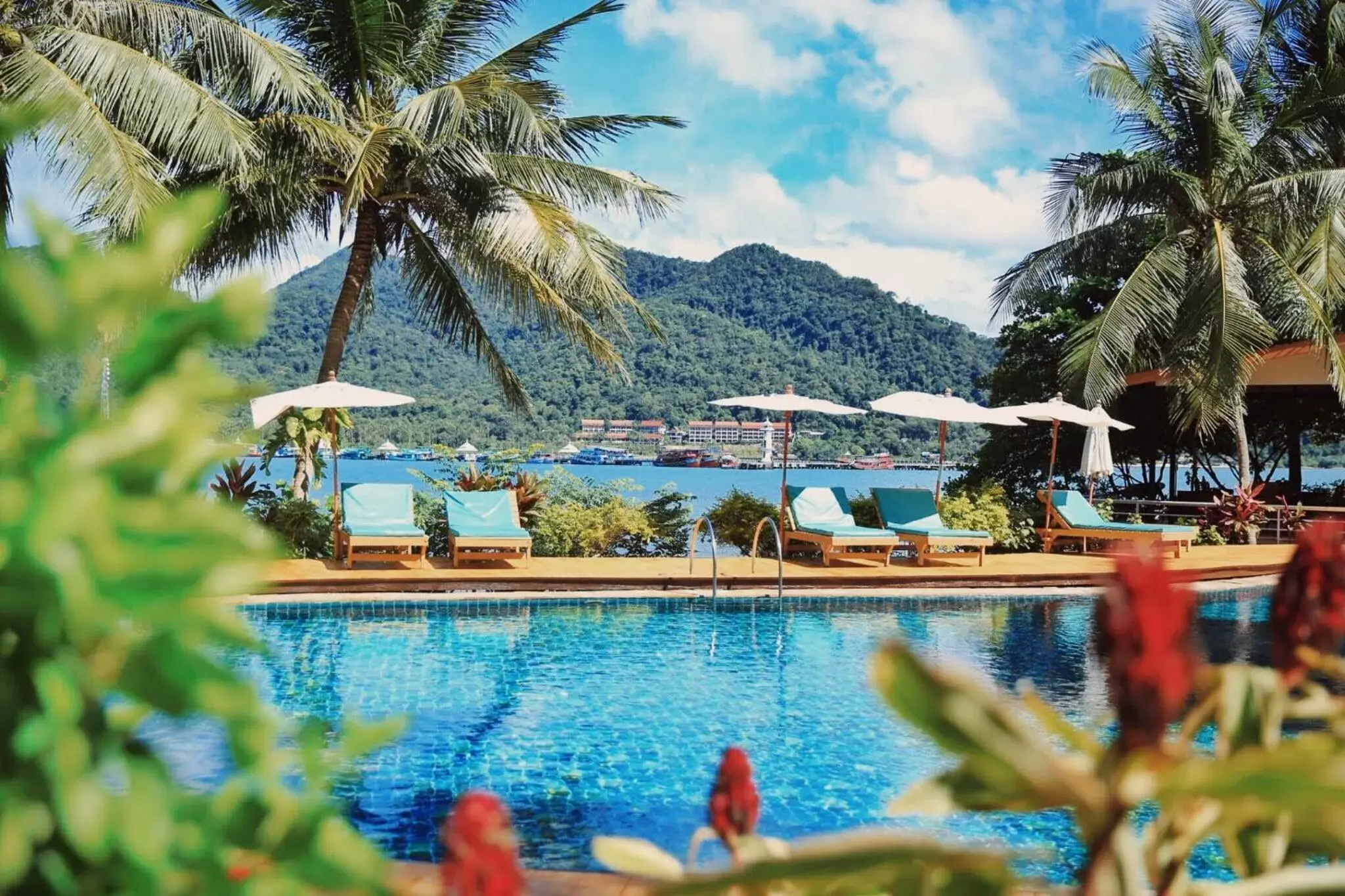 Natural landscape, Swimming Pool in Resolution Resort