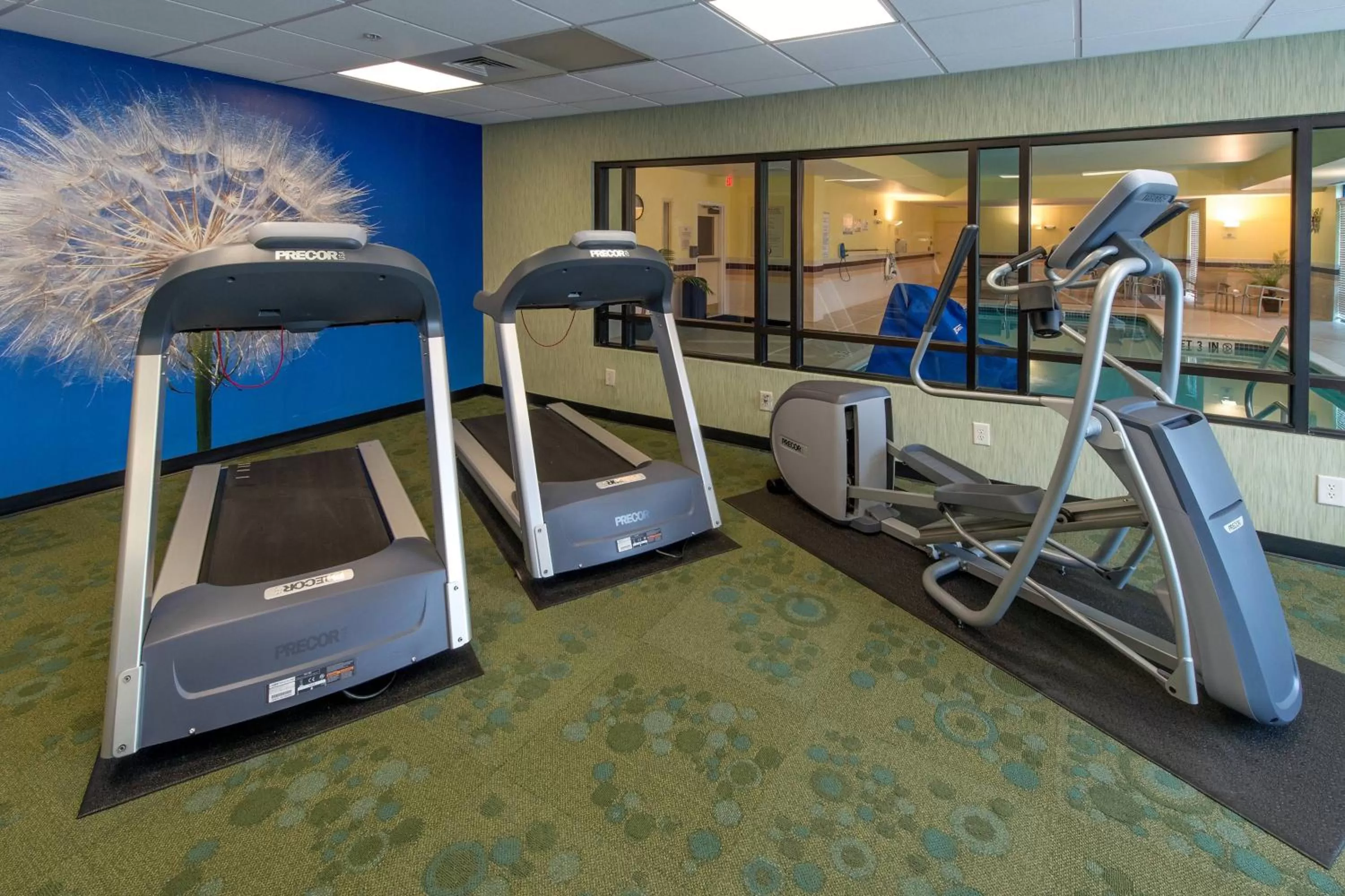 Fitness centre/facilities in SpringHill Suites by Marriott Greensboro