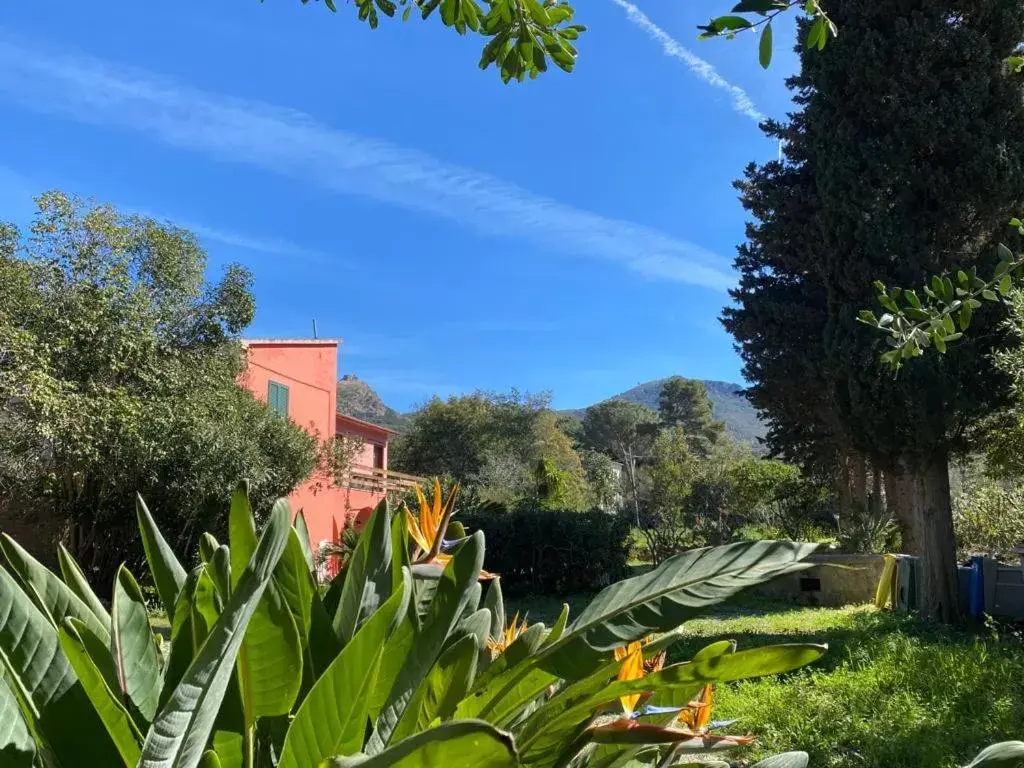 Garden in Villa Gaia