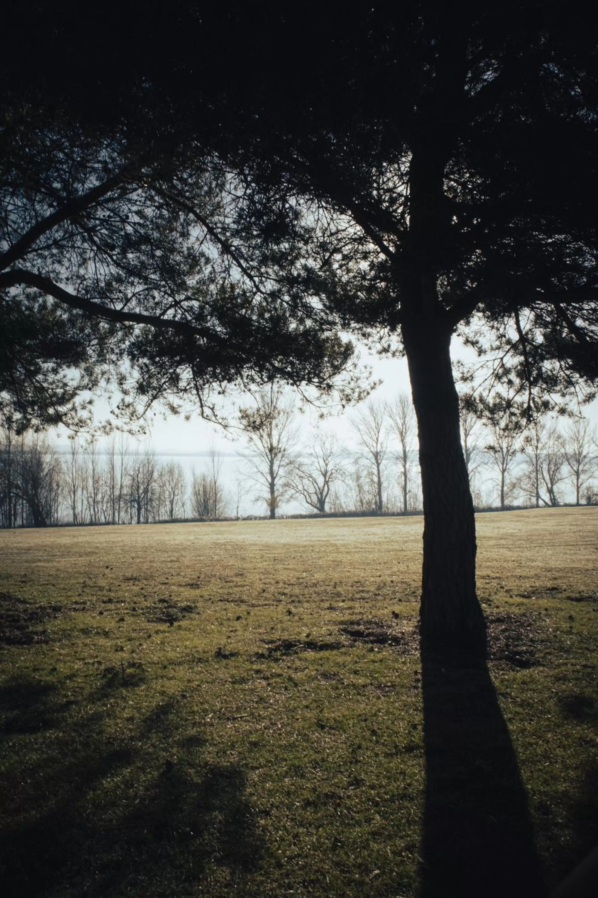 Golfcourse in Draycote Hotel And Whitefields Golf Course