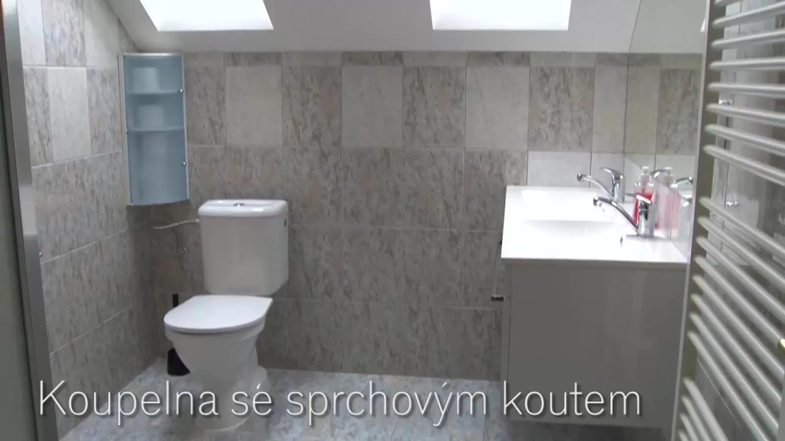 Toilet, Bathroom in X-Park Františkov