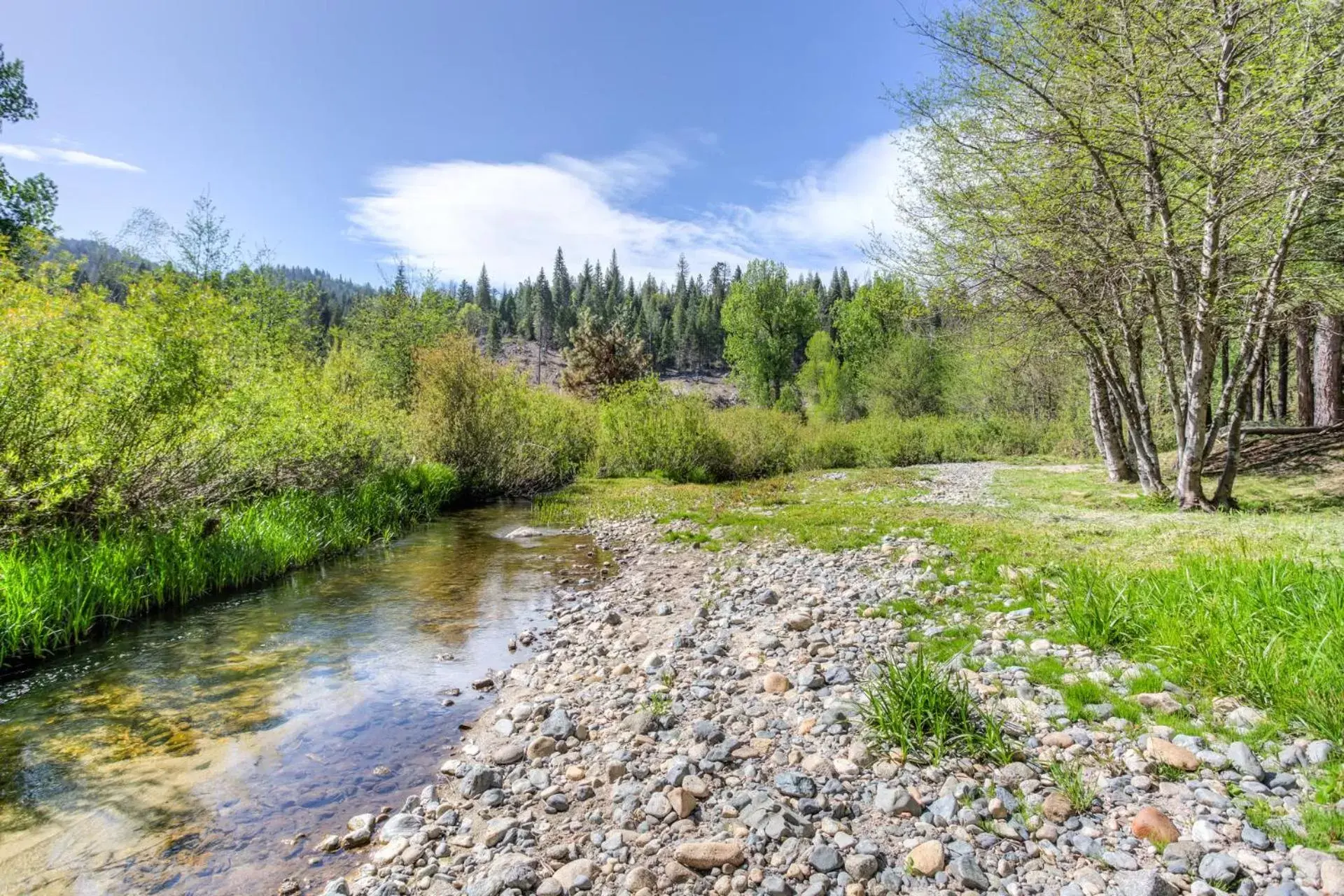 Natural landscape in Big Creek Inn