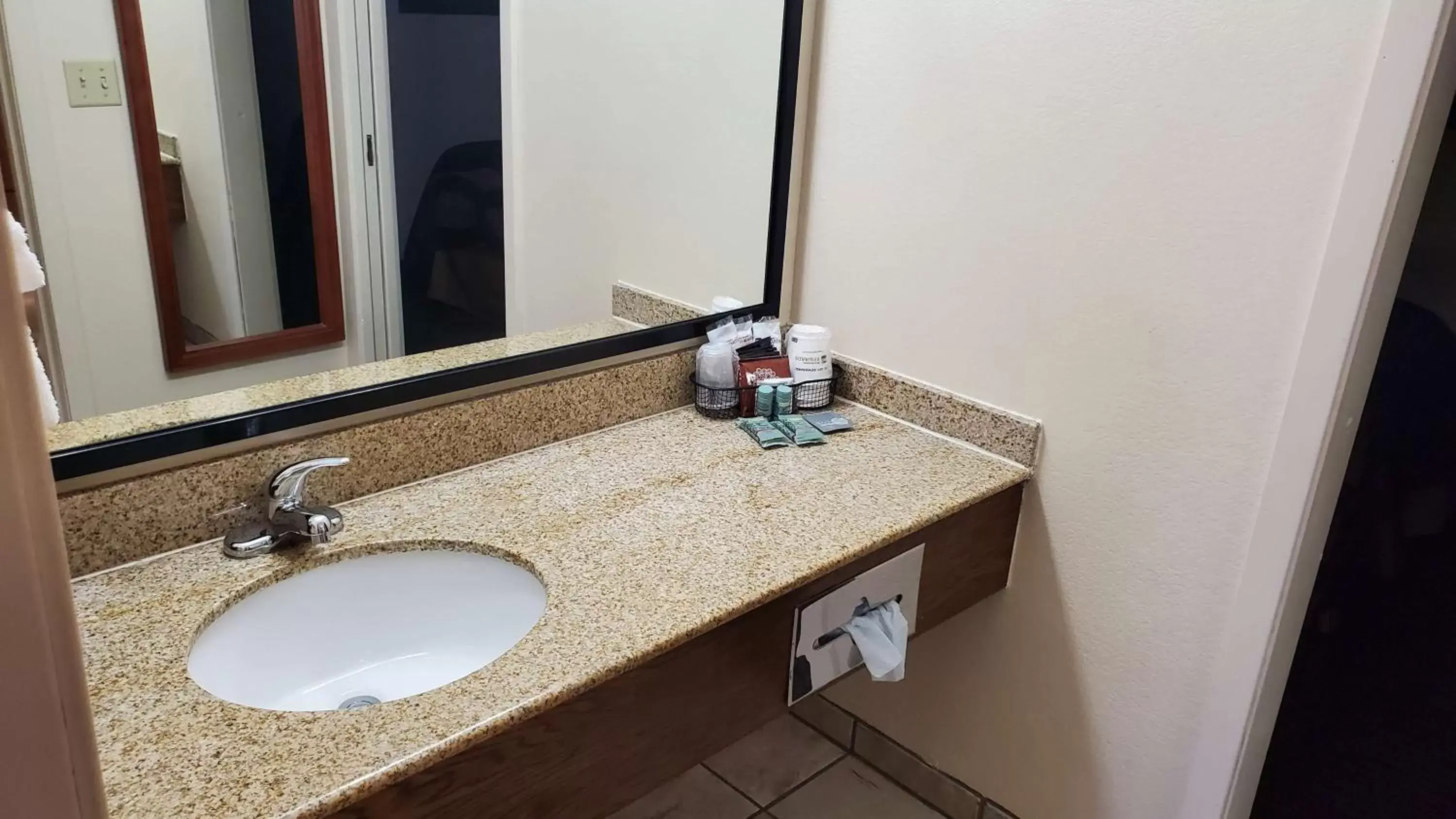 Bathroom in Best Western Plains Motel