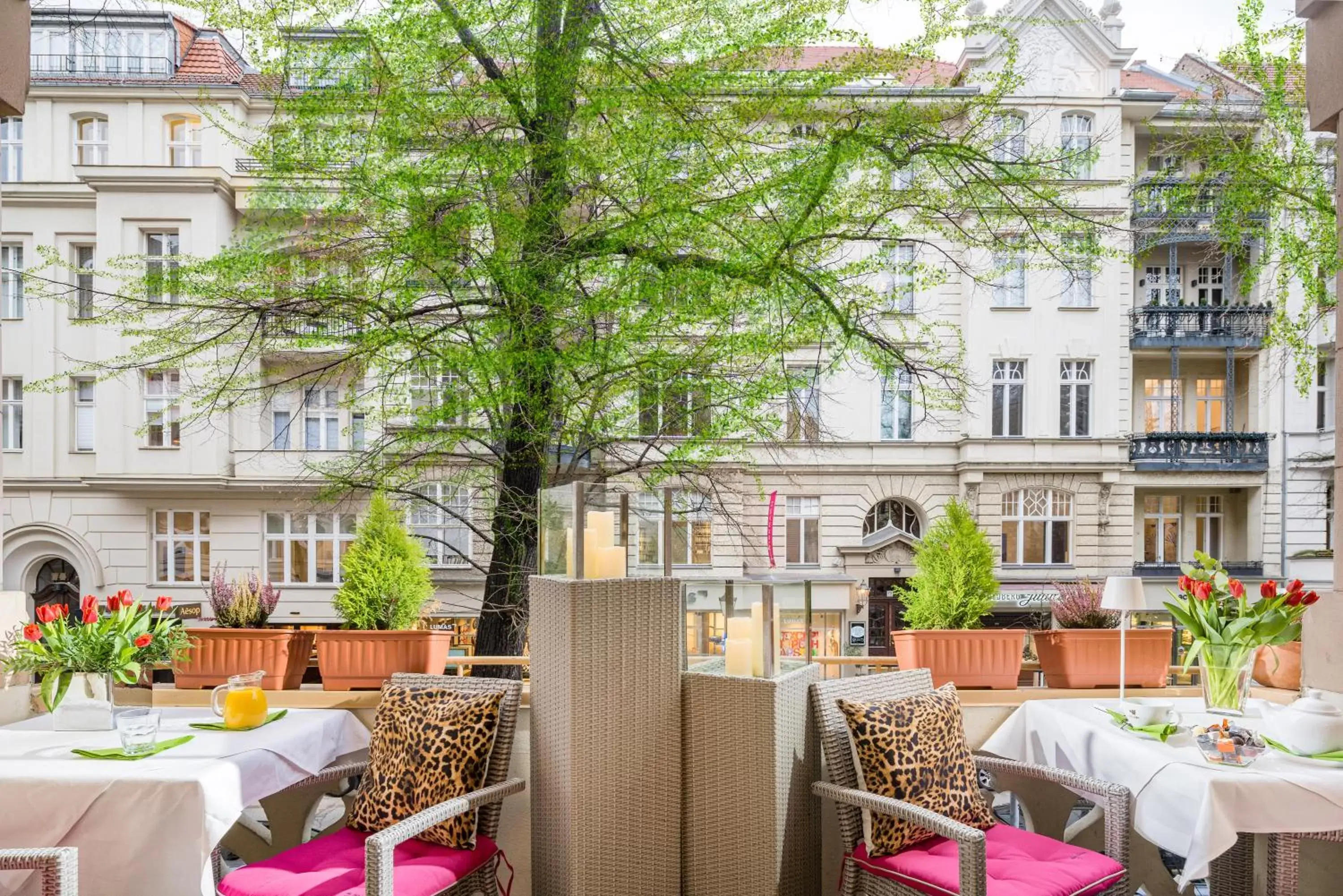 Restaurant/Places to Eat in Hotel Augusta Am Kurfürstendamm