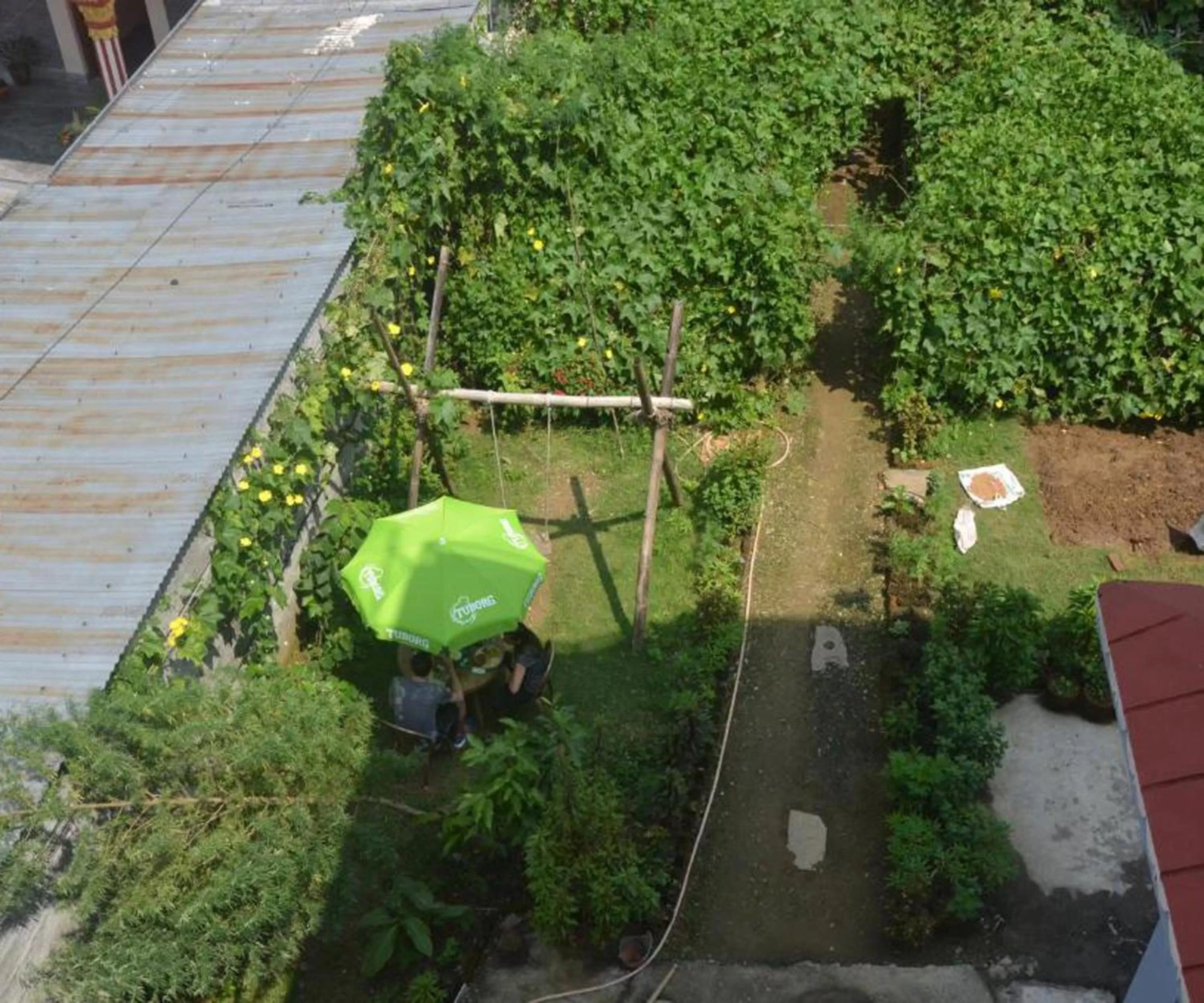 Restaurant/places to eat in Hotel Immortal Inn