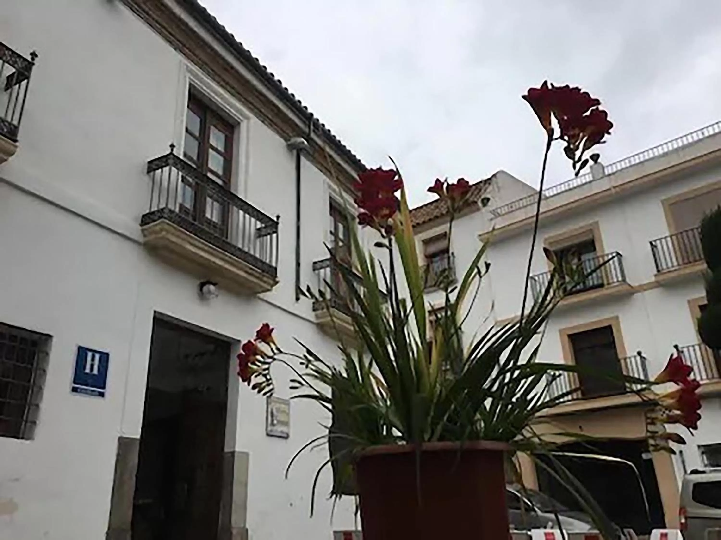 Property building in Hotel Plateros