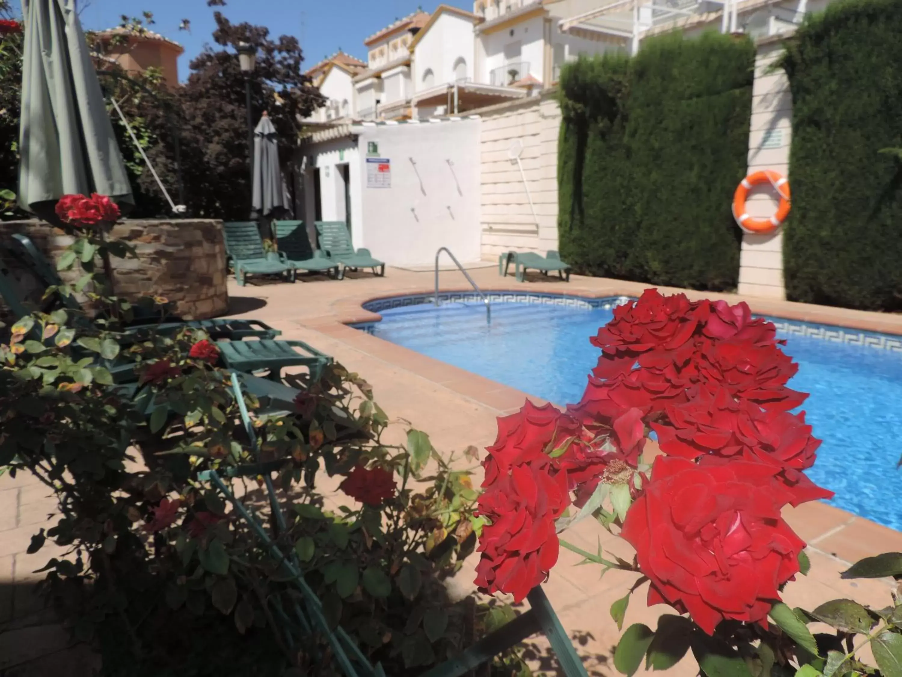 Garden, Swimming Pool in APARTAMENTOS CASERIA DE COMARES