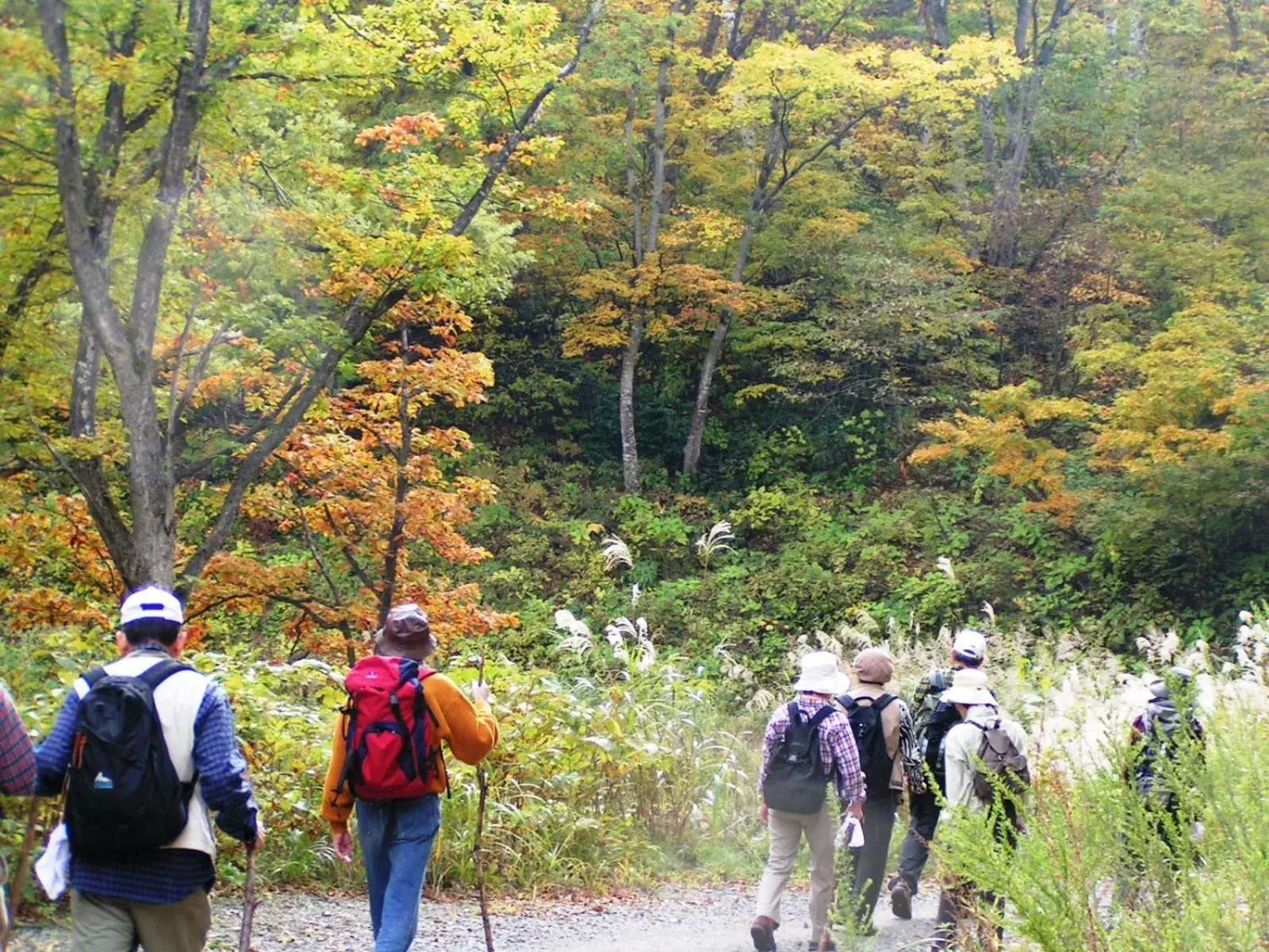 Area and facilities, Guests in Madarao Elm Pension