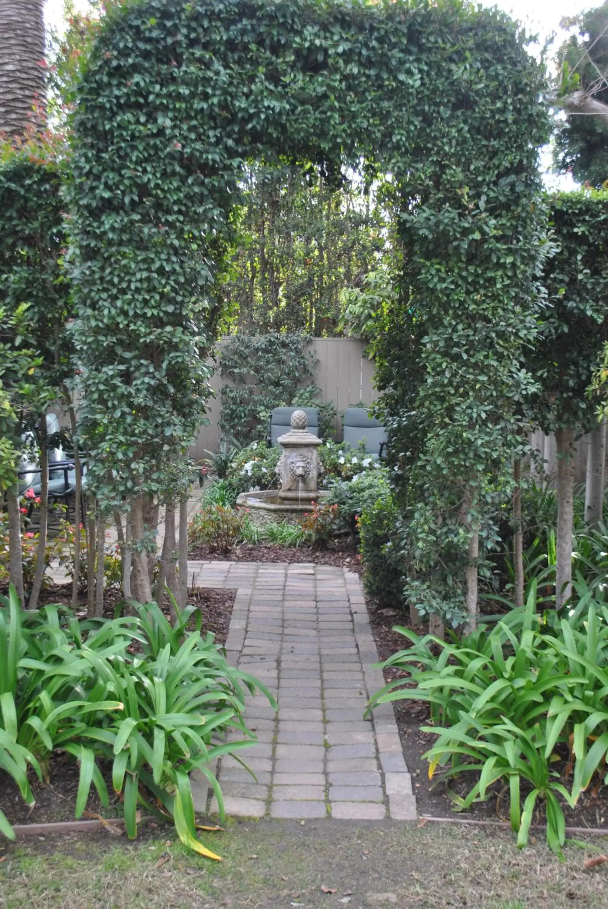 Garden in The Upham Hotel