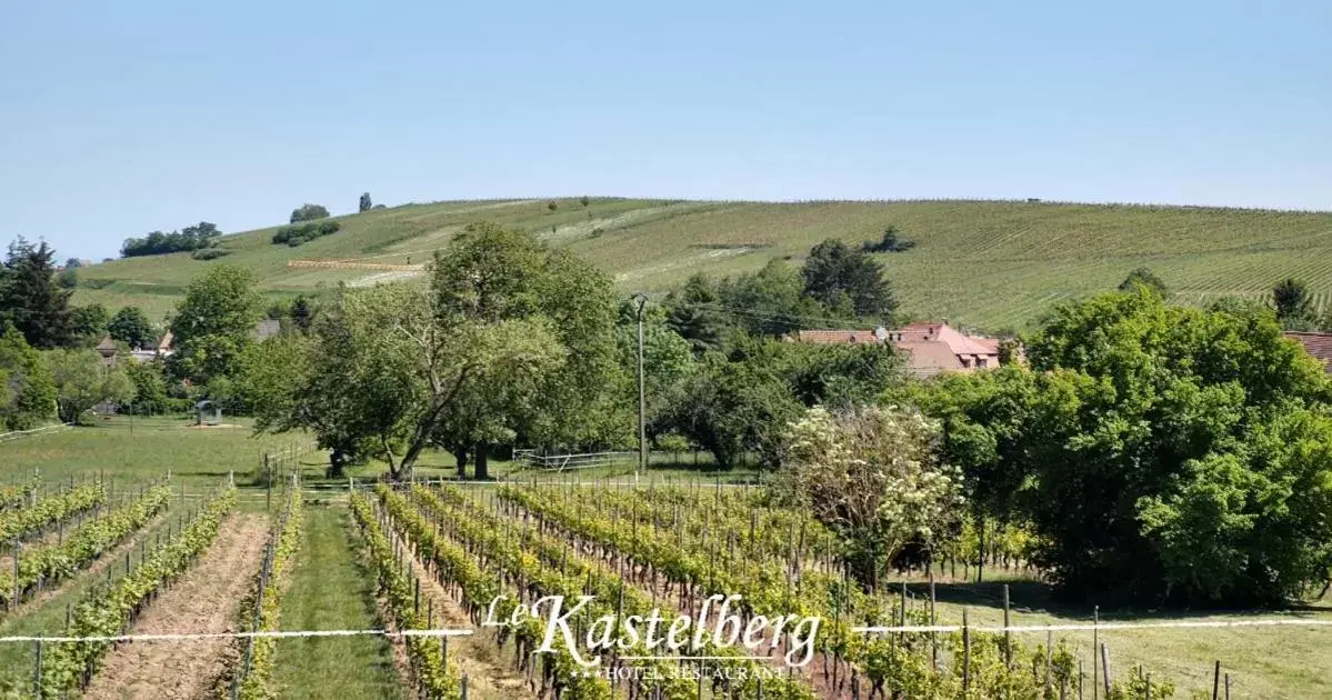 Natural landscape in Hôtel Restaurant Le Kastelberg, The Originals Boutique