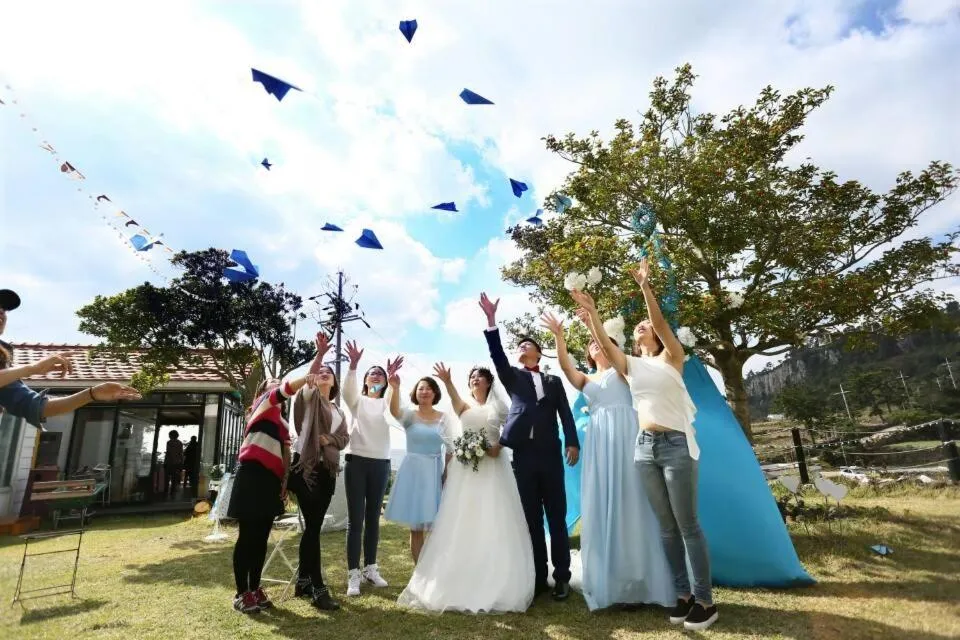 Garden in JEJU Doldam B&B