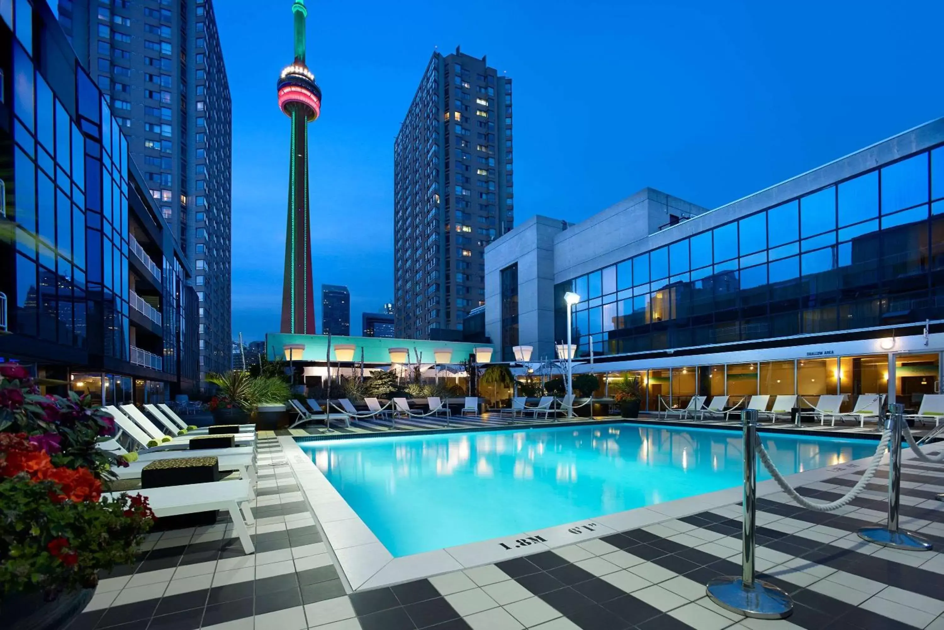 Activities, Swimming Pool in Radisson Blu Downtown Toronto