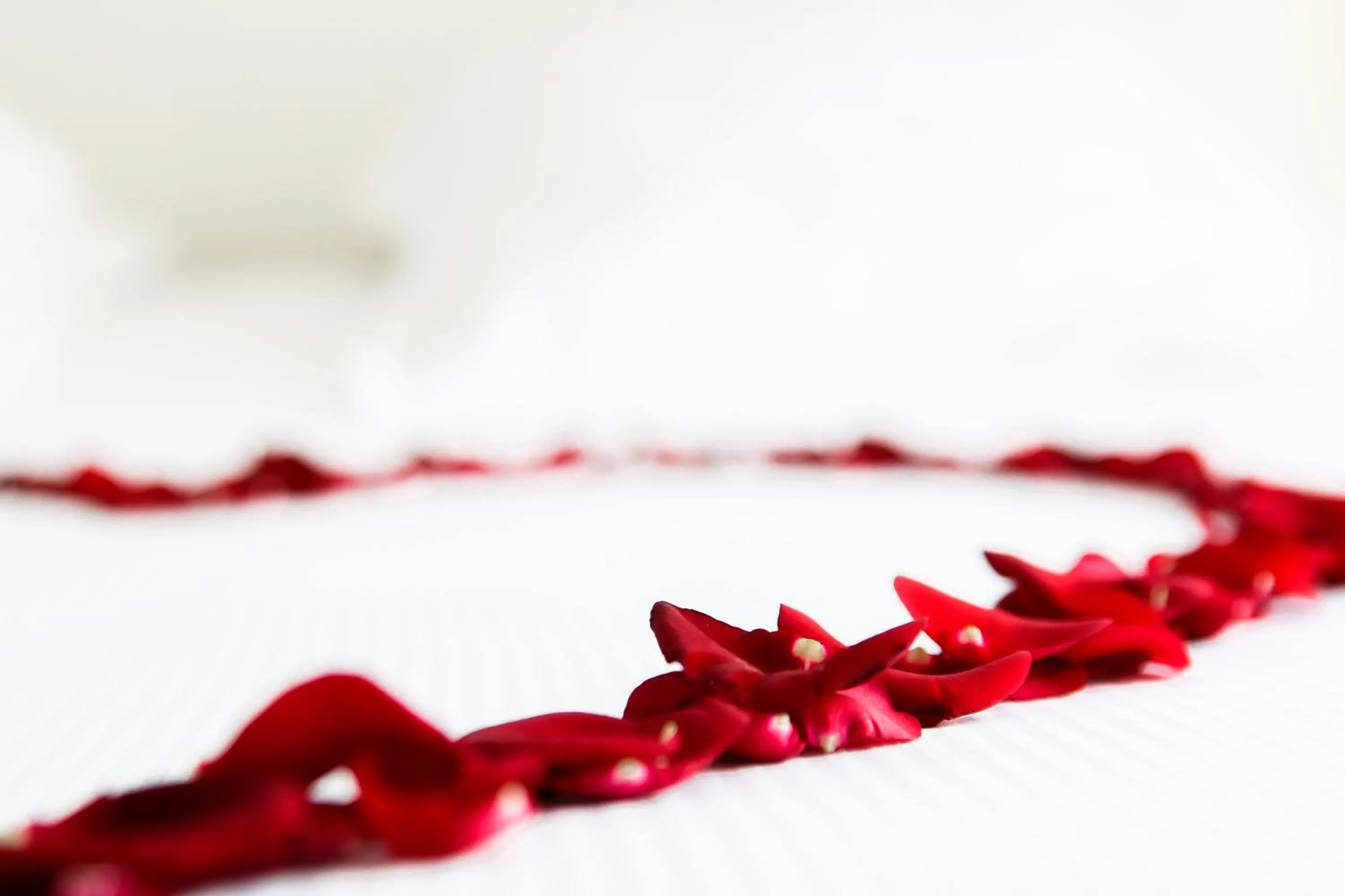 Decorative detail in Hôtel Montaigne & Spa - Cannes Centre