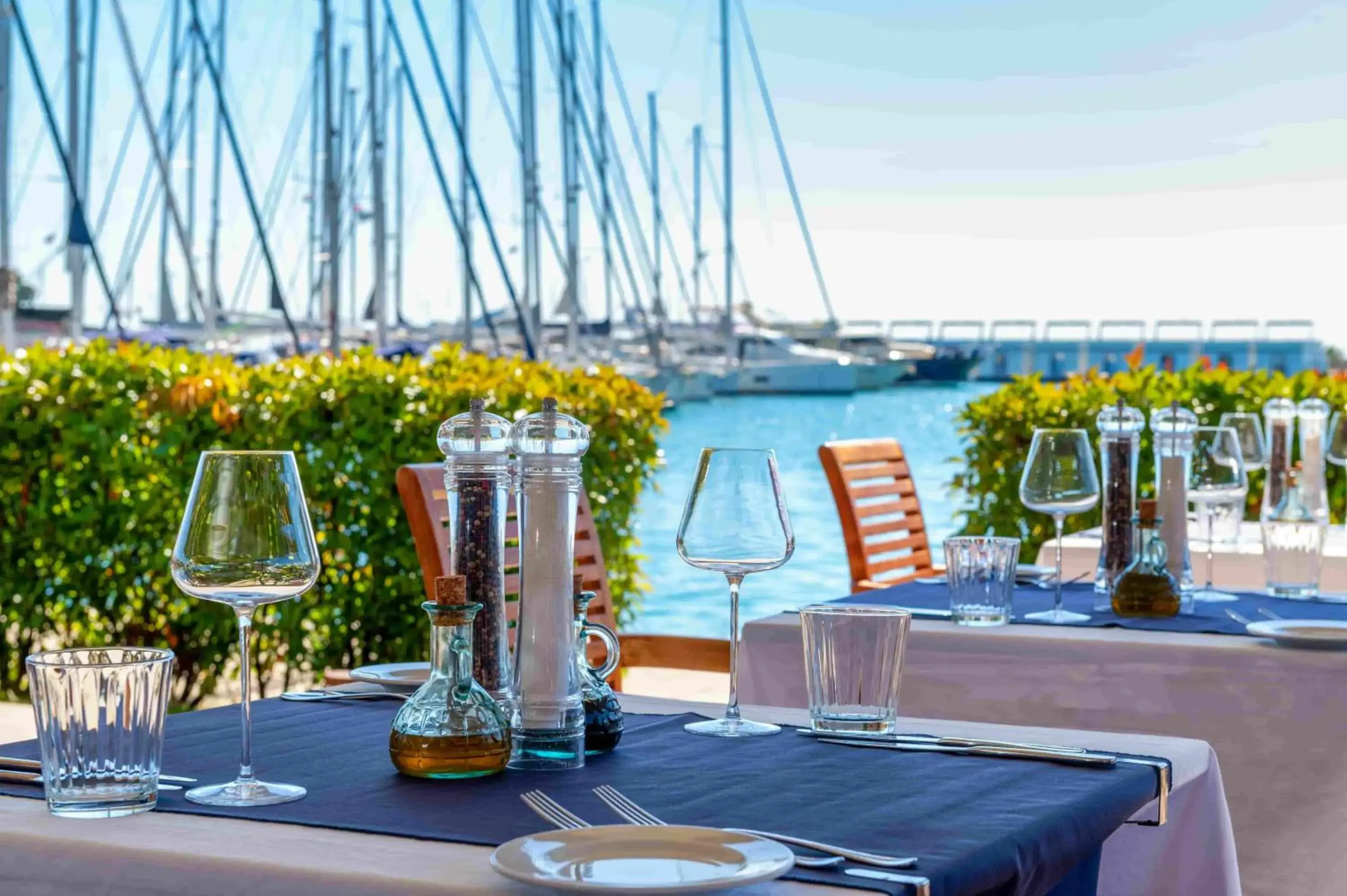 Restaurant/places to eat, Drinks in Hotel Nautica