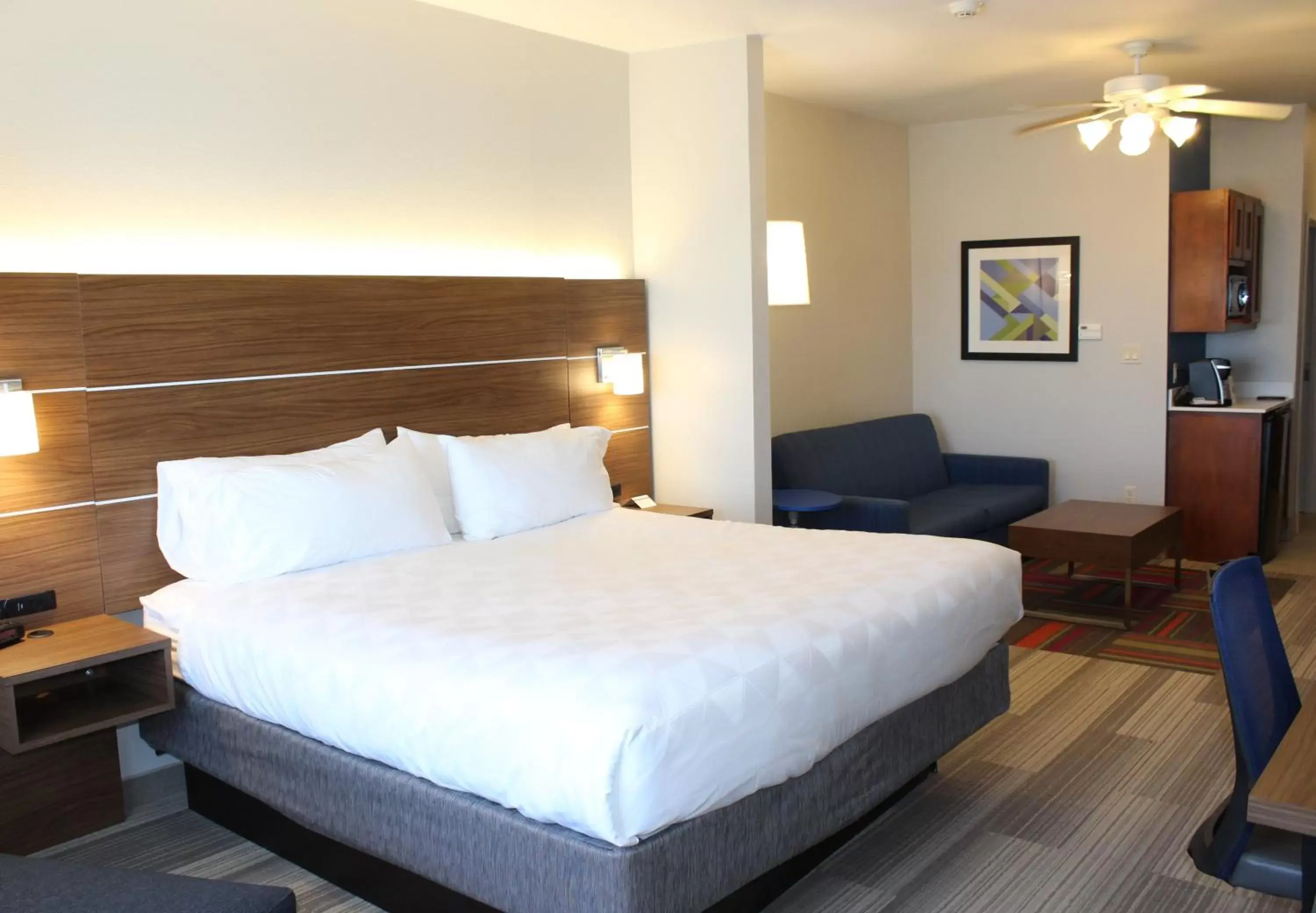 Photo of the whole room, Bed in Holiday Inn Express Hotel & Suites Mansfield, an IHG Hotel