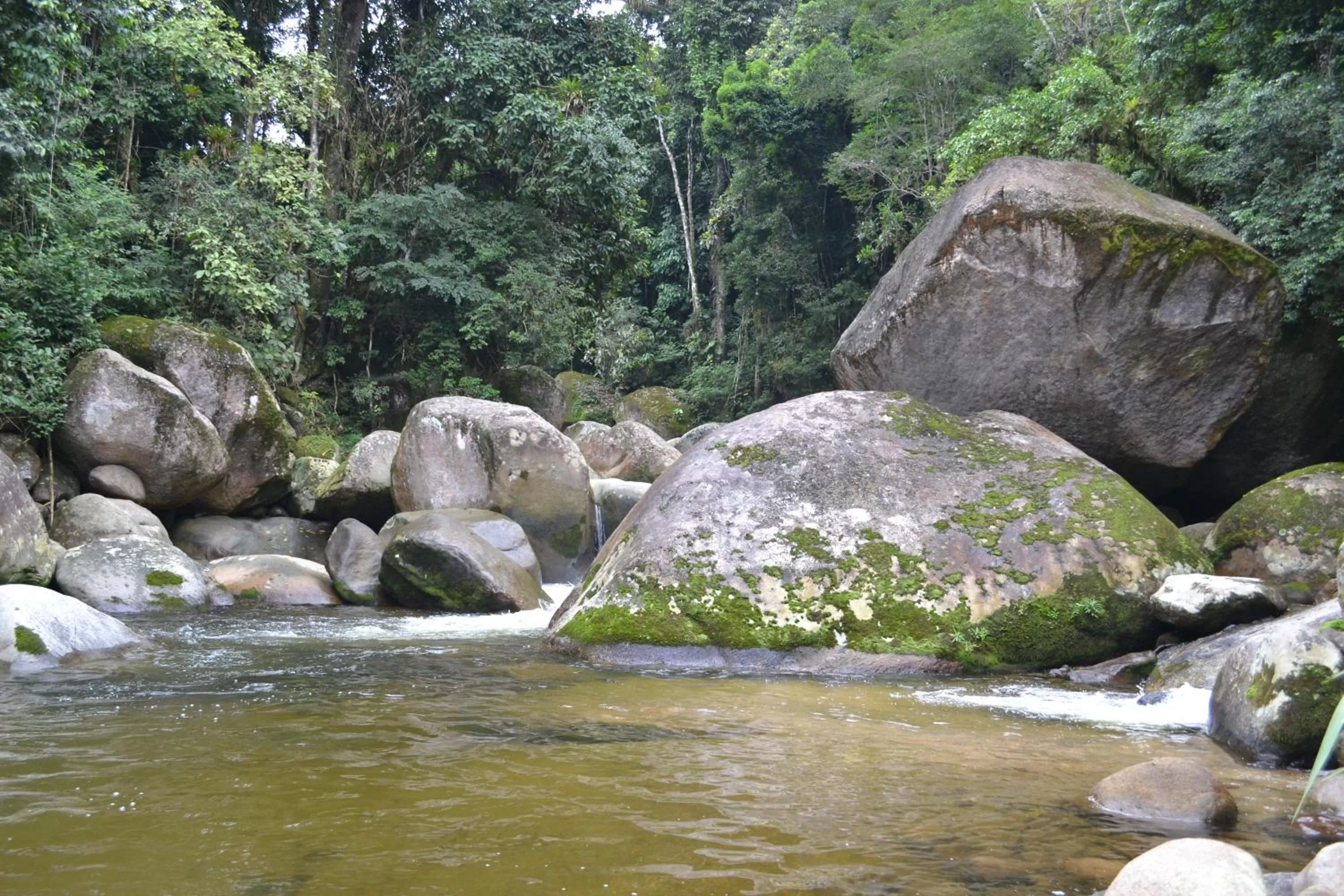Natural landscape in Pousada Canto do Curió Paraty