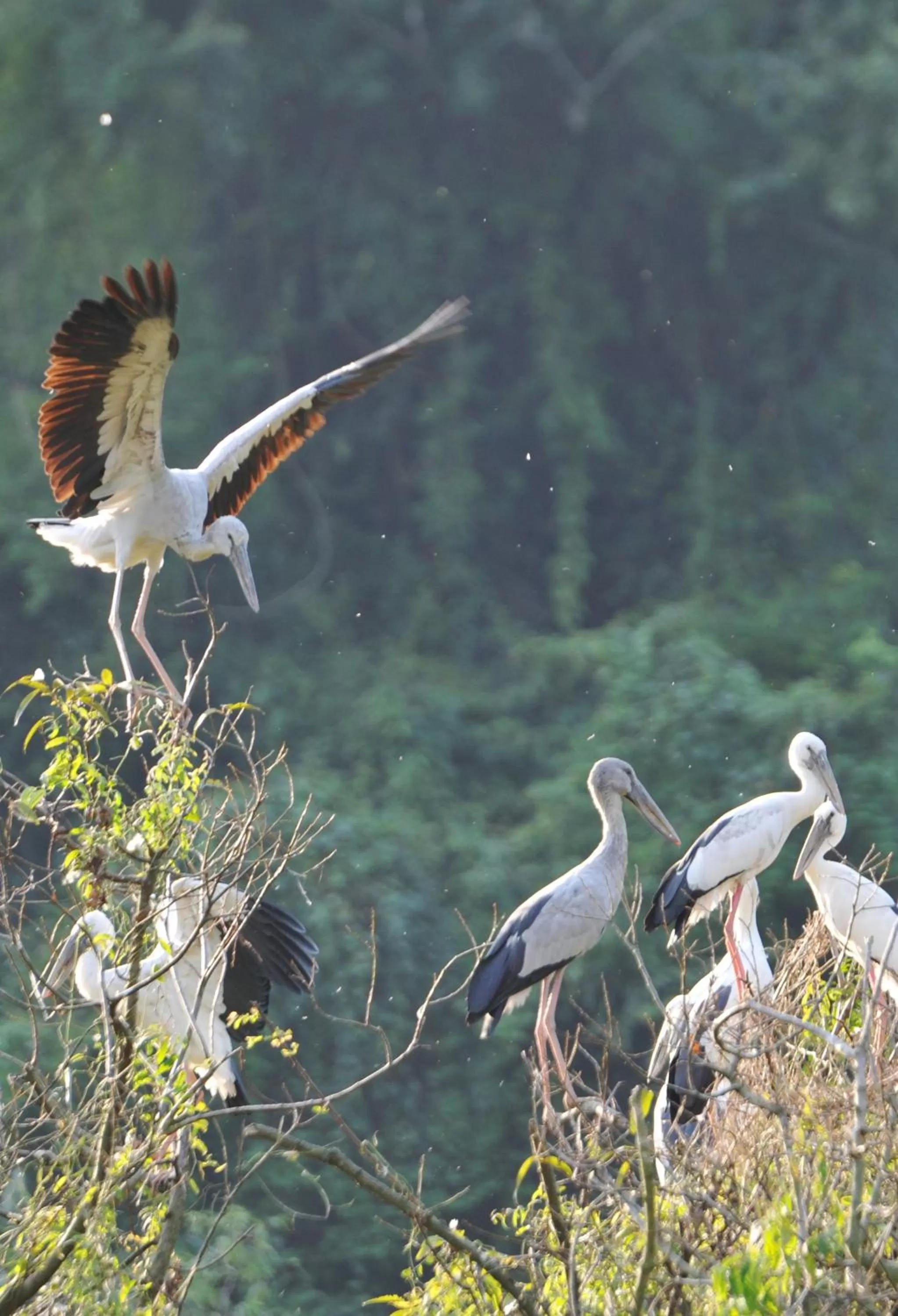 Day in Thung Nham Resort