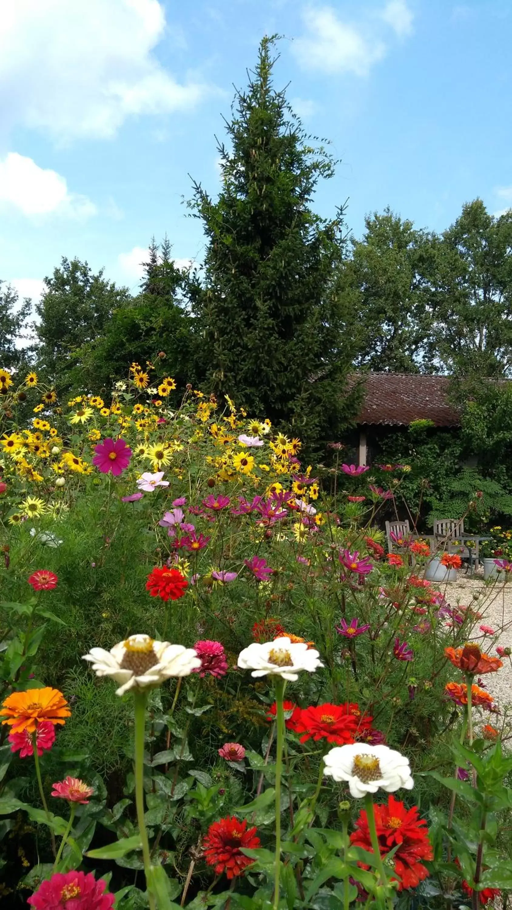 Garden in B&B Het mooie uitzicht