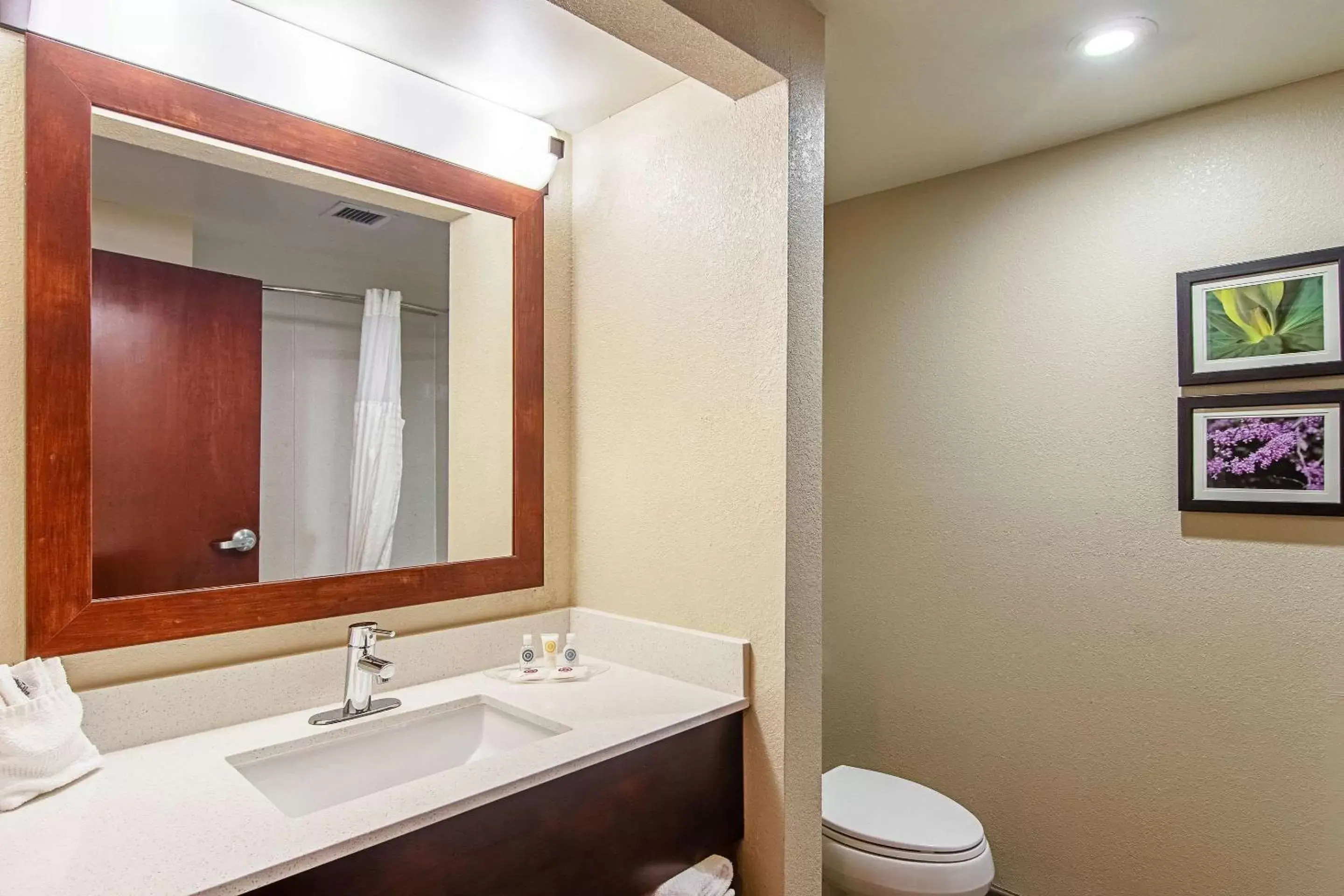 Bathroom in Comfort Suites Airport Alcoa