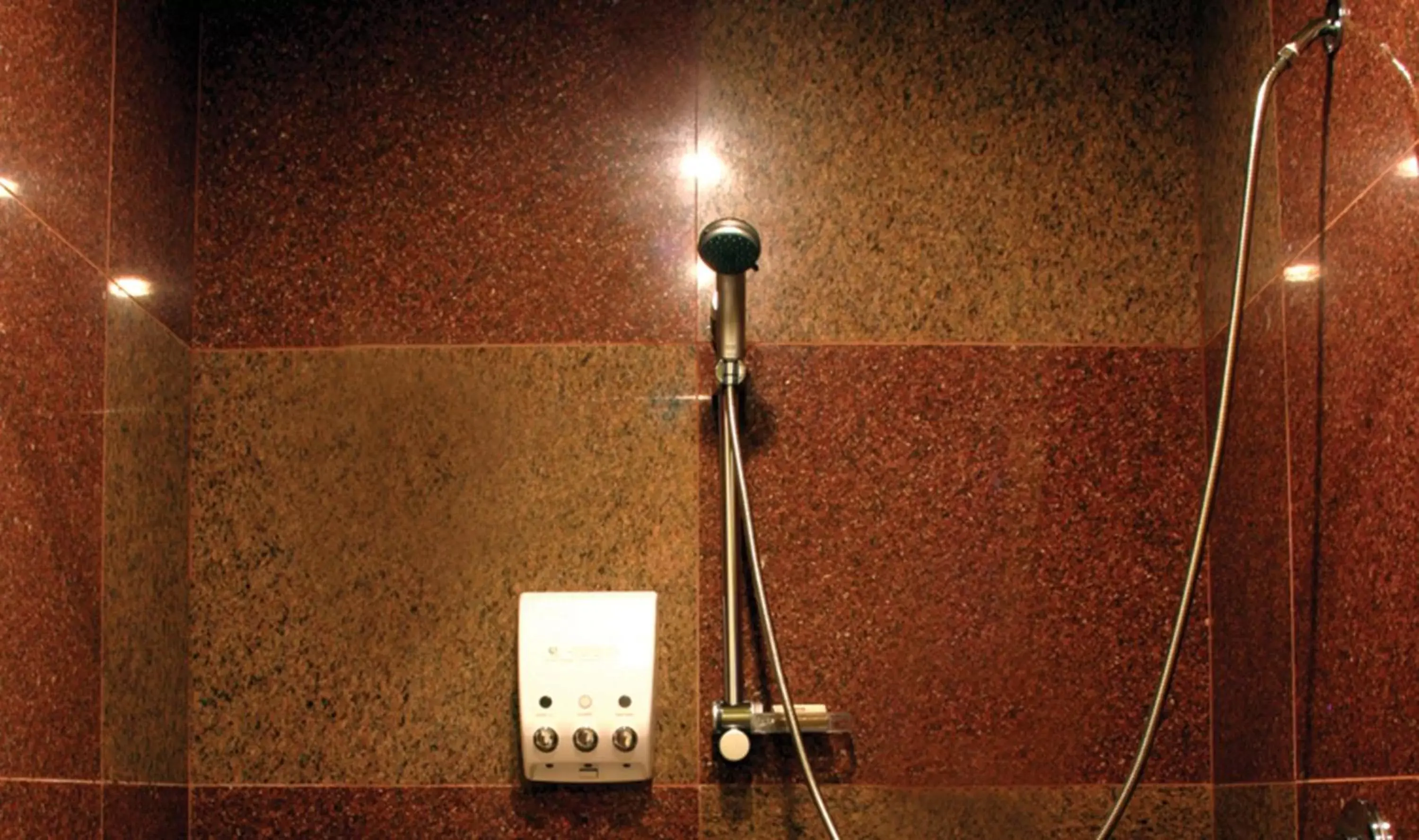 Bathroom in Best Western Snowcap Lodge