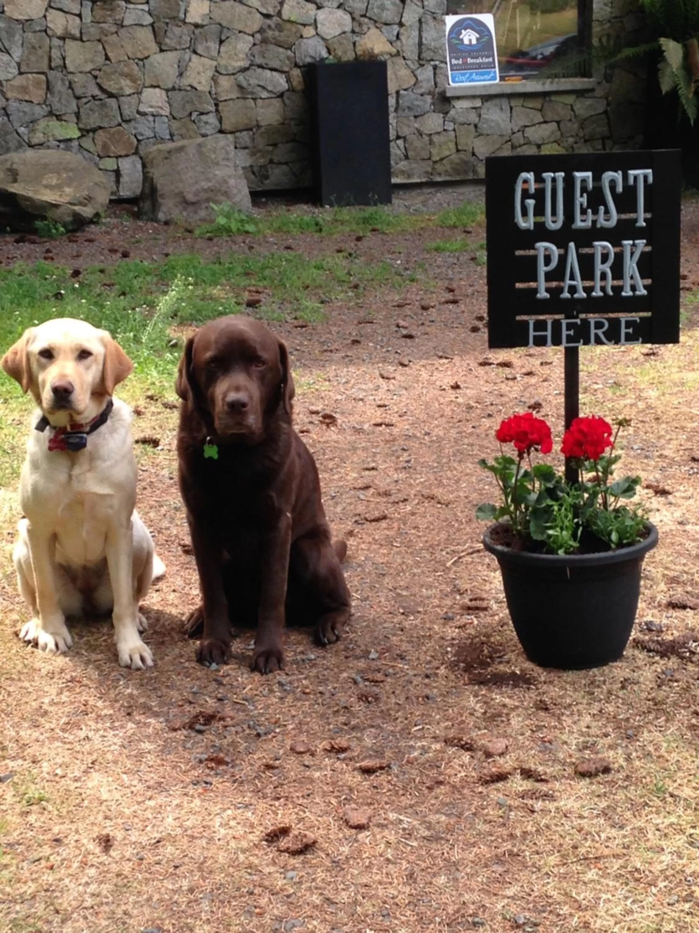 Misty Meadows B and B