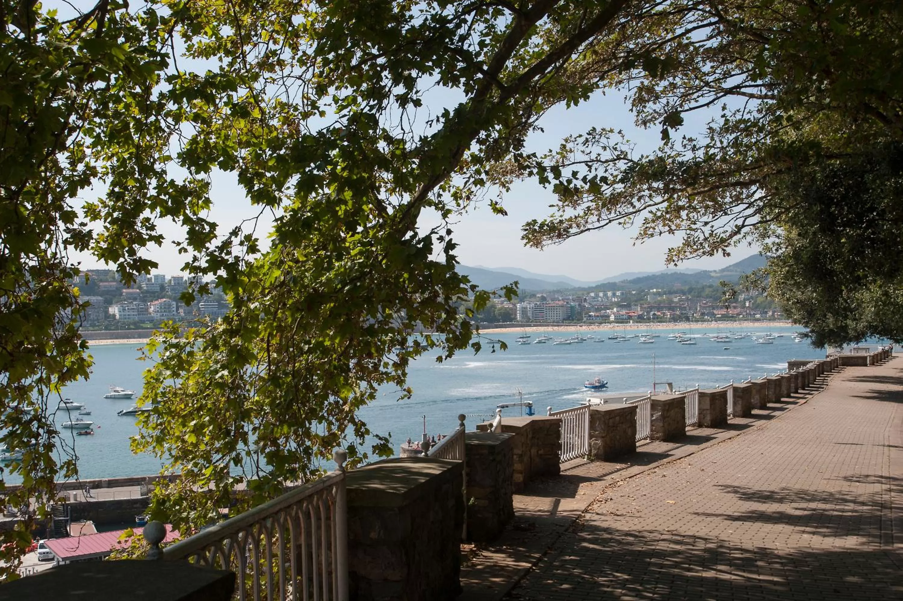 Natural landscape in Hotel SANSEbay