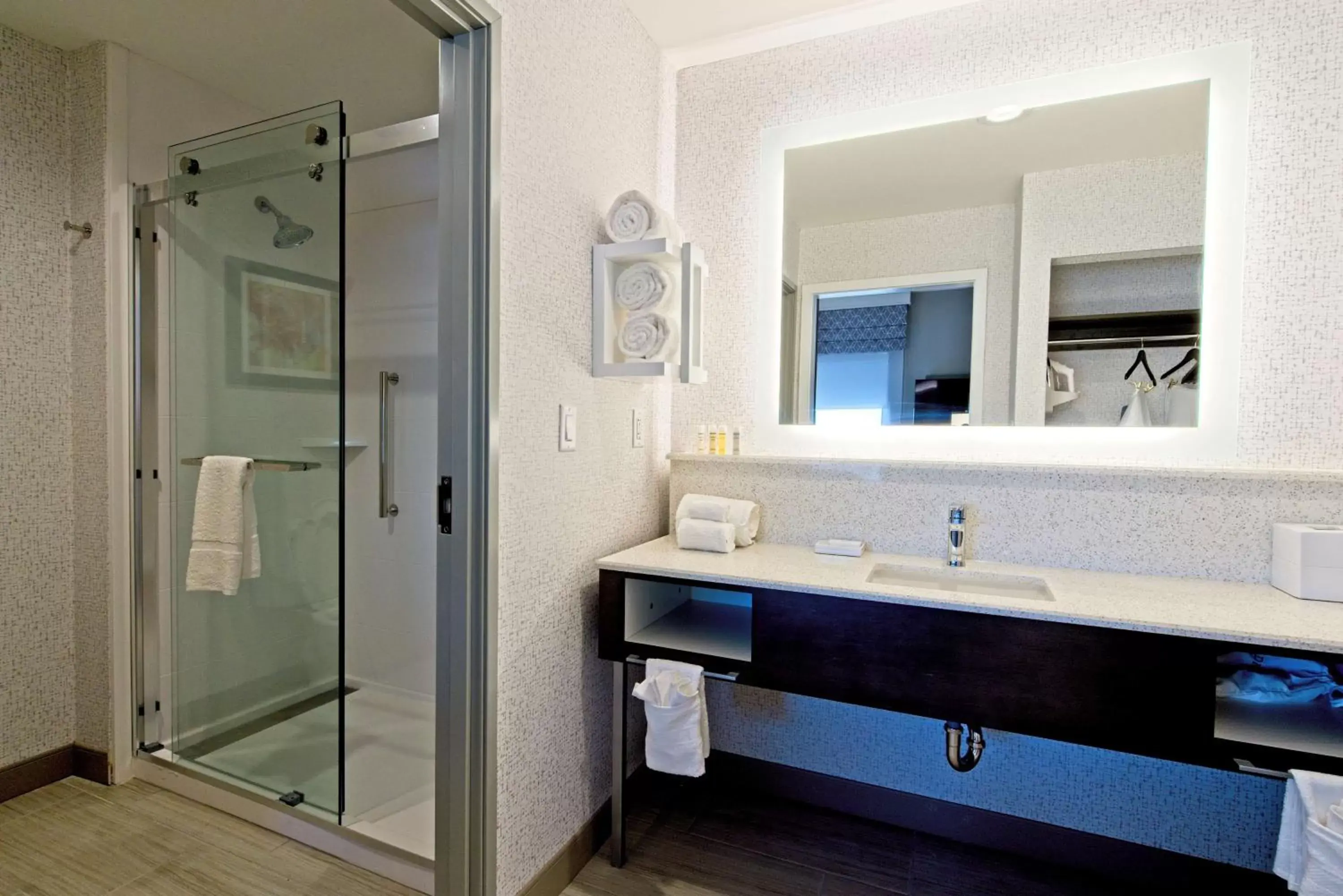 Bathroom in Hampton Inn & Suites Lubbock University, Tx