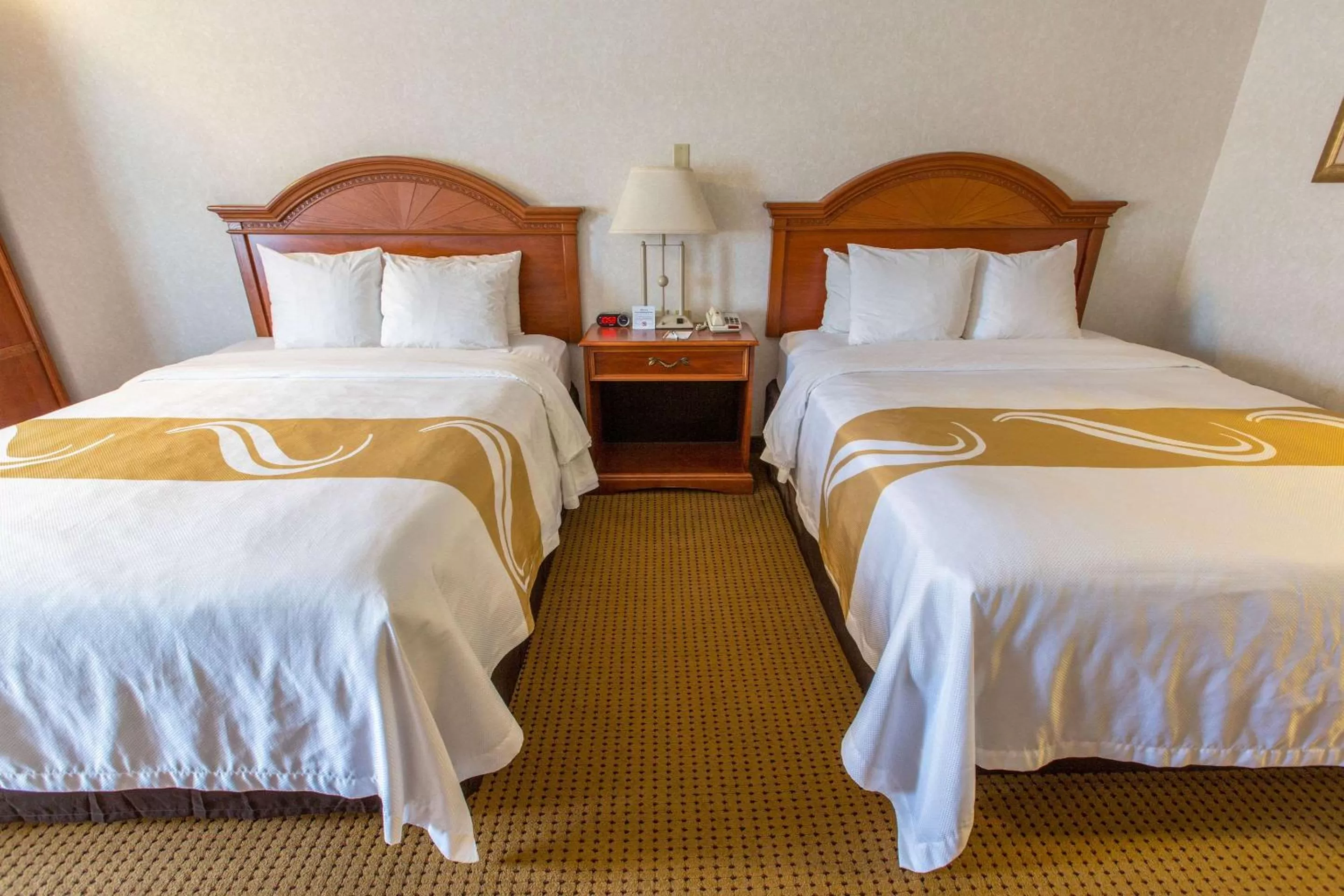 Photo of the whole room, Bed in Quality Inn & Suites University