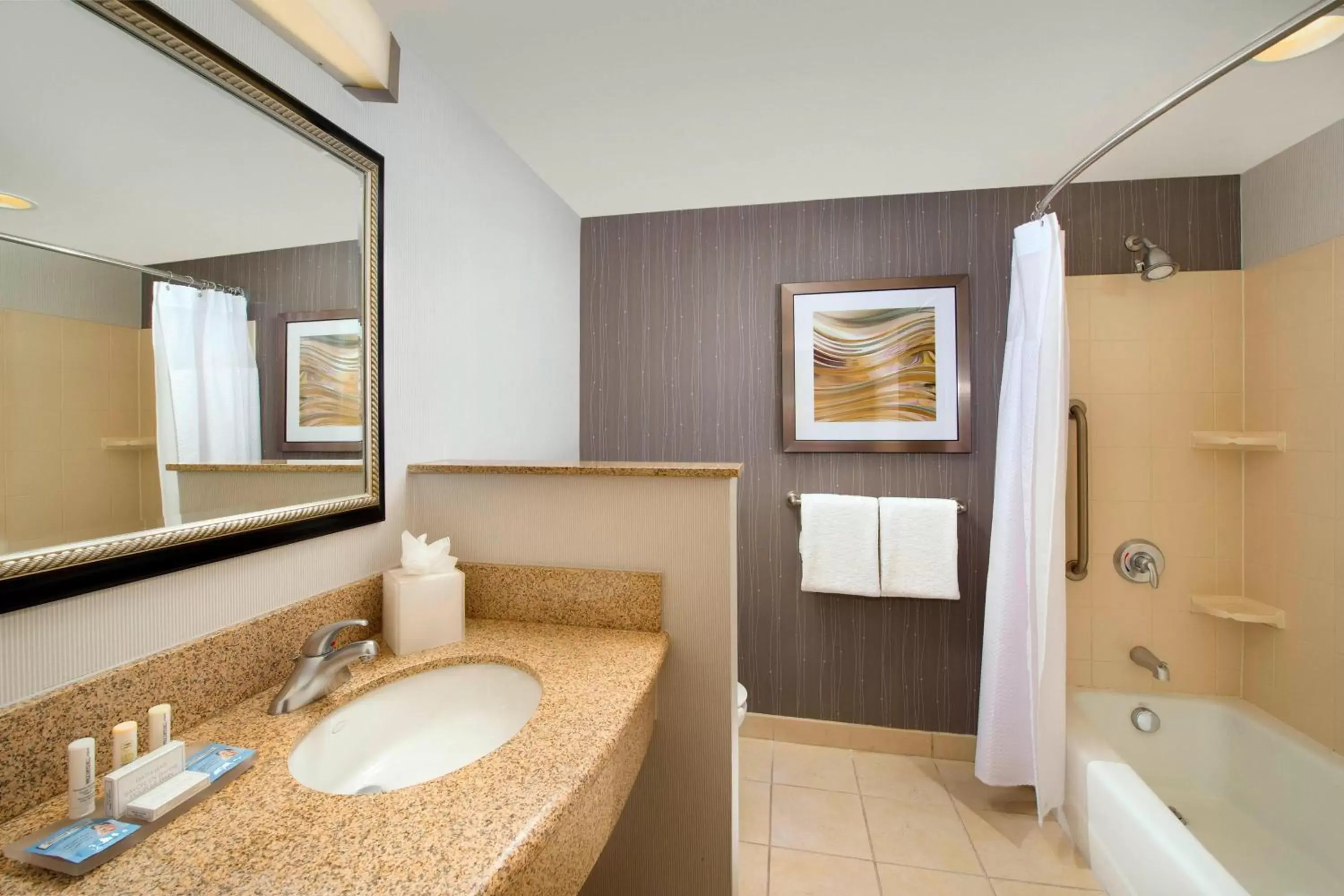 Bathroom in Courtyard by Marriott San Antonio SeaWorld/Lackland