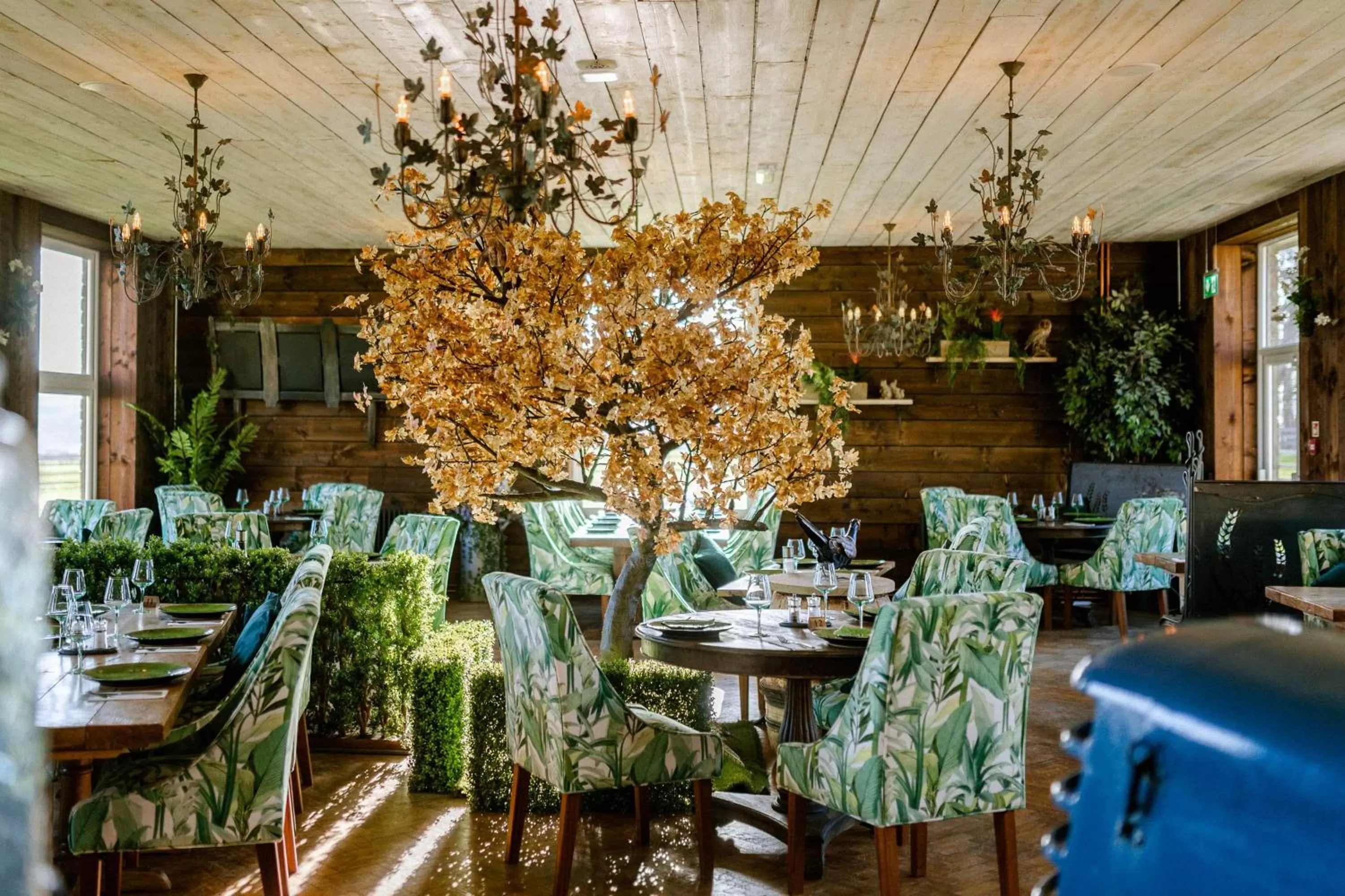 Restaurant/places to eat in Sneaton Castle