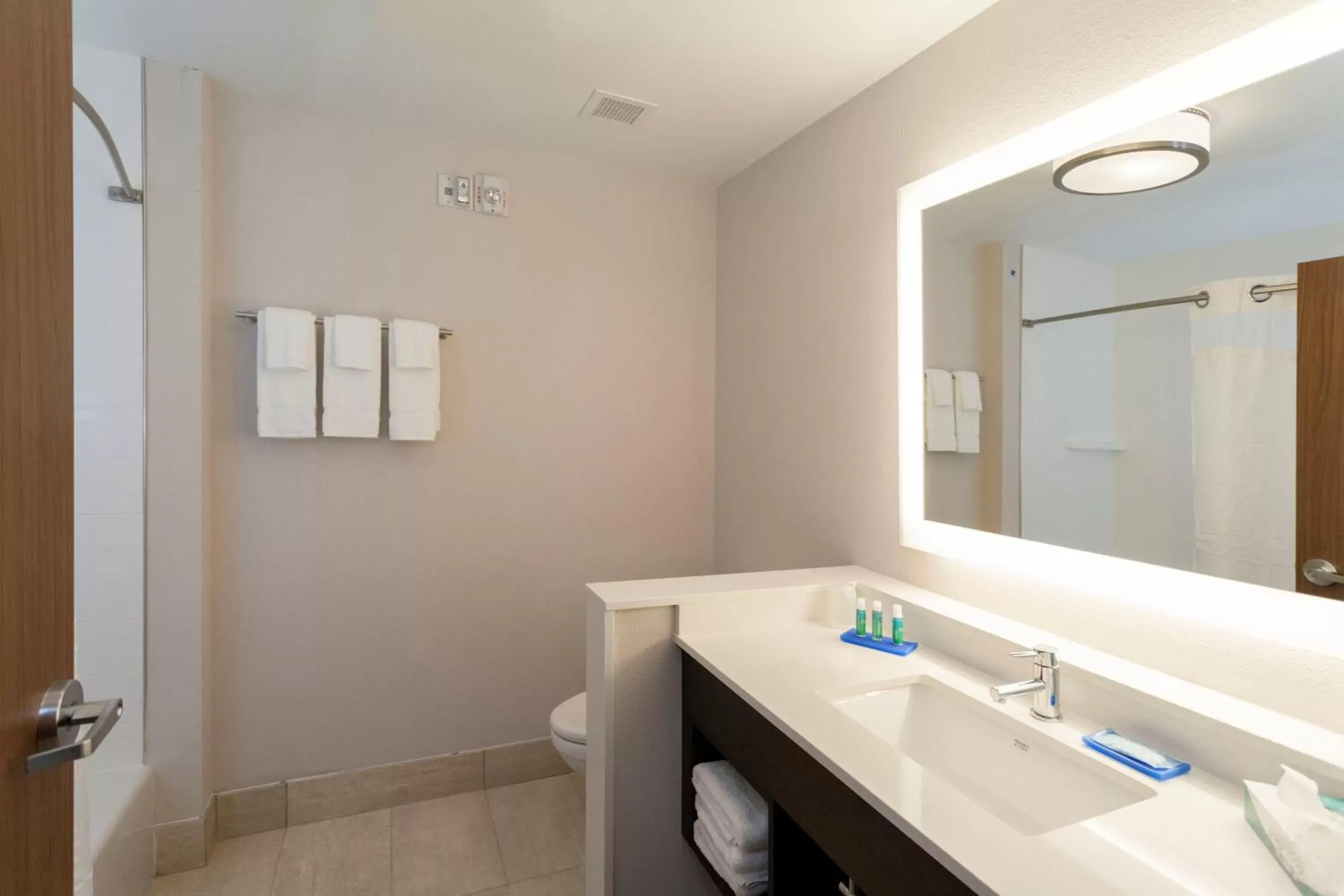 Bathroom in Holiday Inn Express Hotel & Suites Dallas South - DeSoto, an IHG Hotel