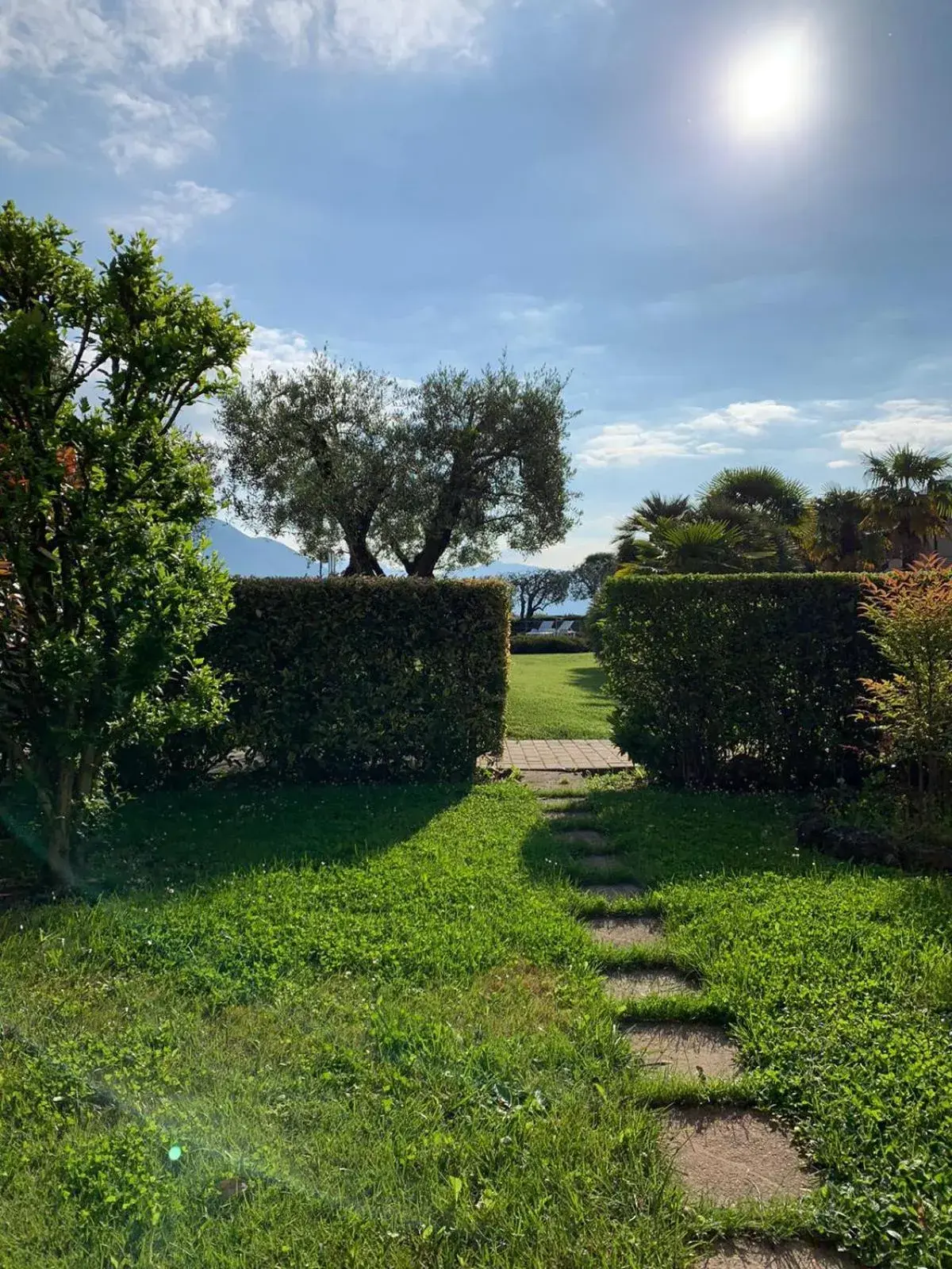 Garden in Hotel Ulivi