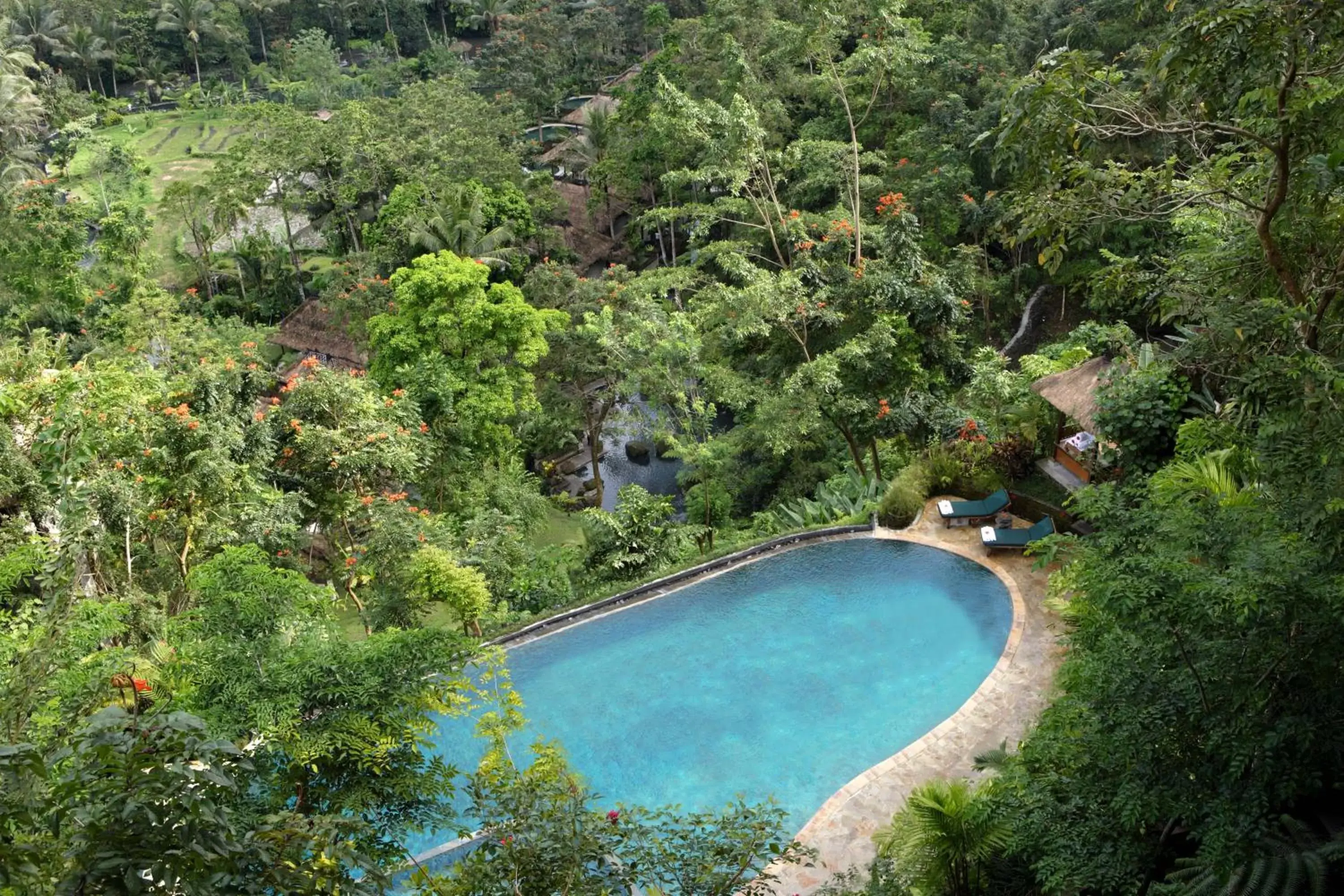 Swimming pool, Pool View in The Royal Pita Maha