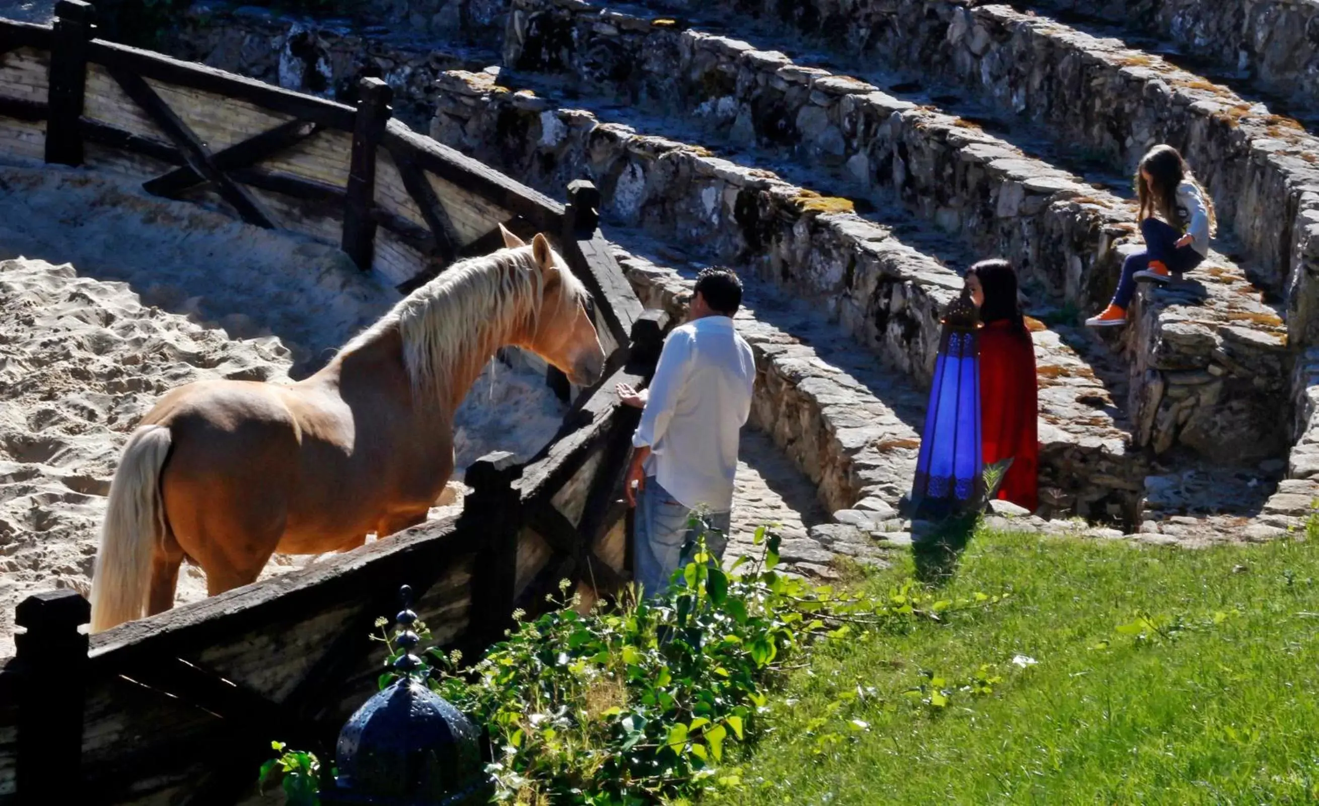 Horse-riding, Other Animals in Los Pilares de Ronda Boutique & Hotel