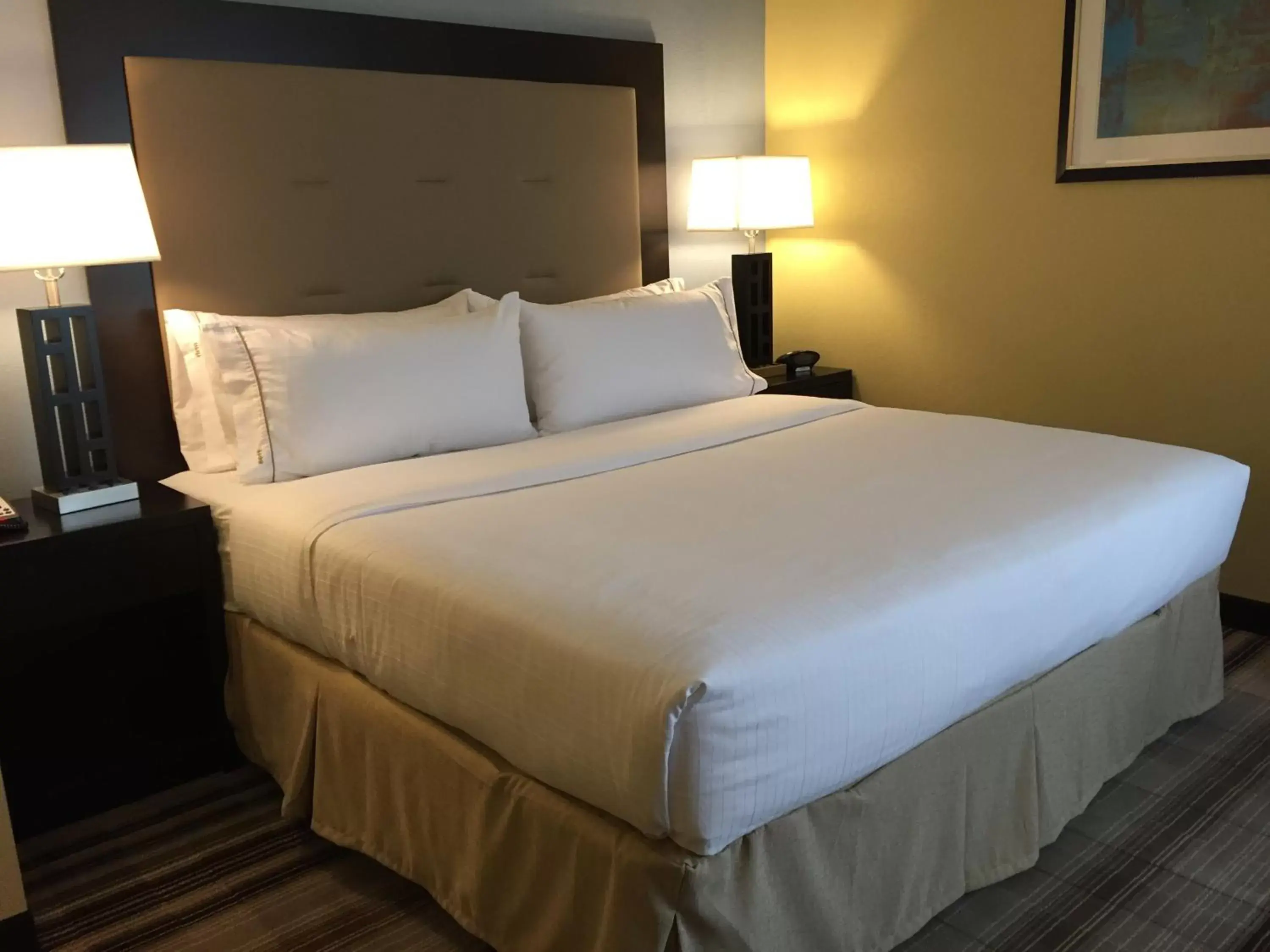 Photo of the whole room, Bed in Holiday Inn Express Chicago NW - Arlington Heights, an IHG Hotel