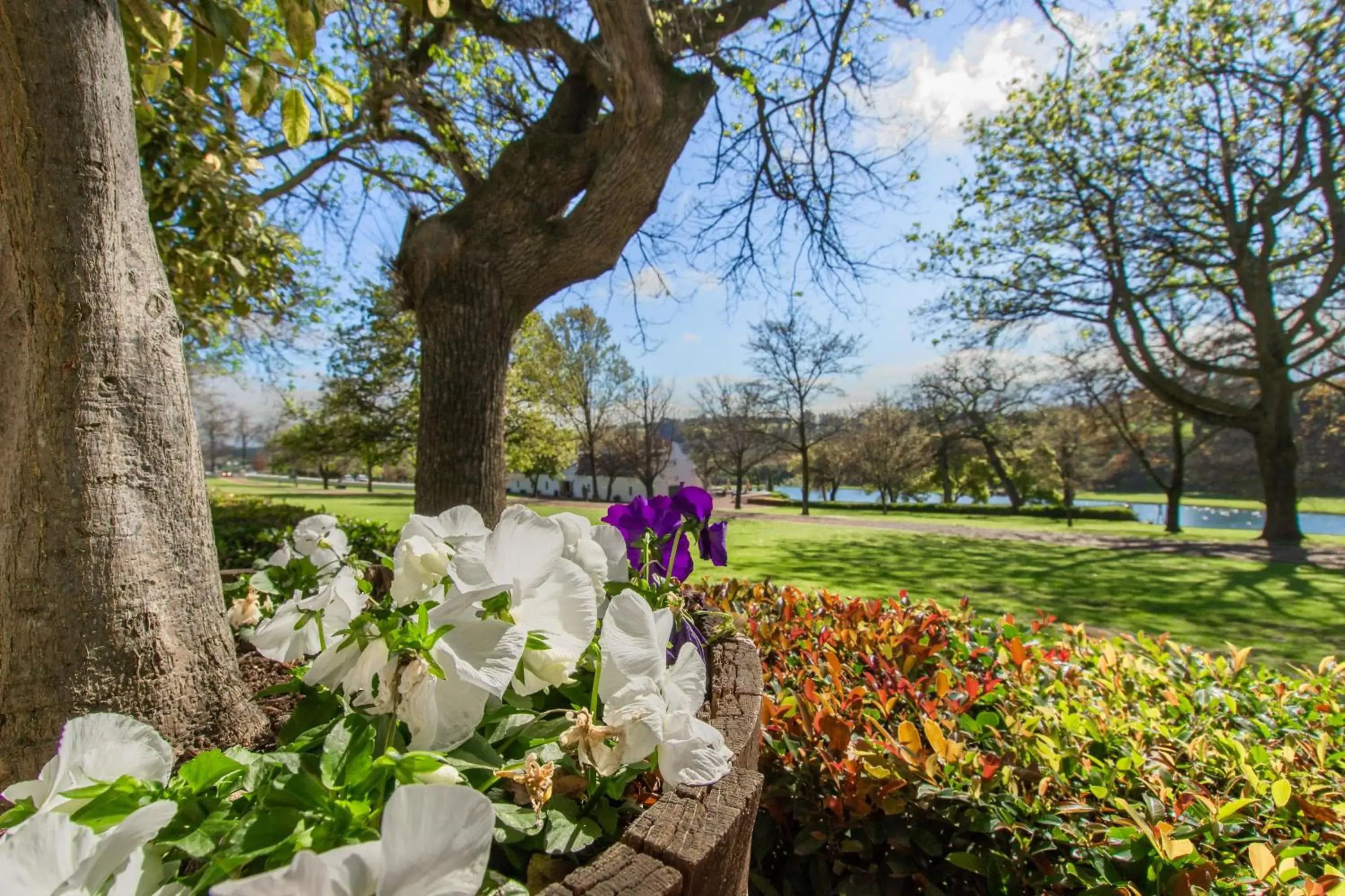 Garden in Webersburg