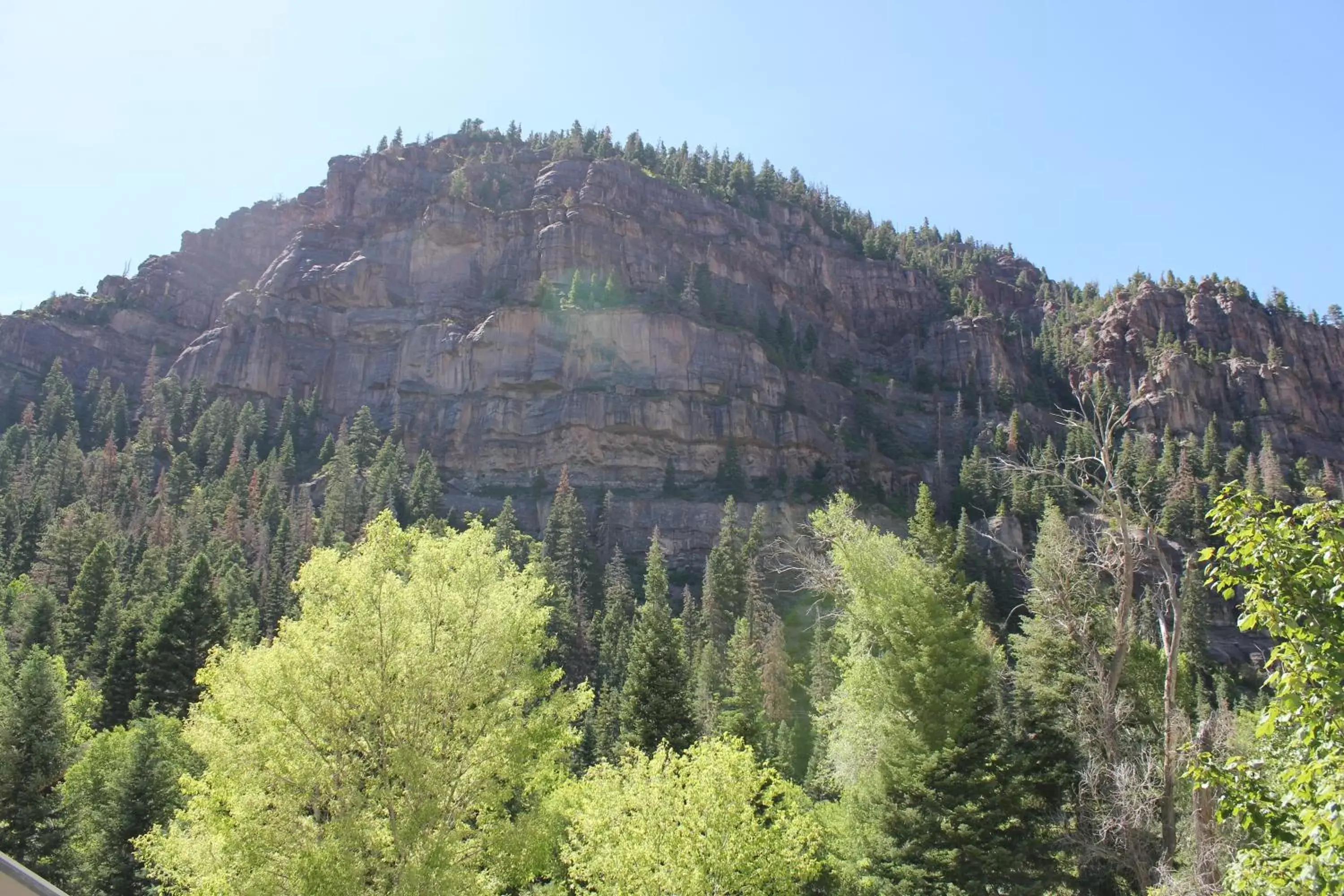 Natural Landscape in Black Bear Manor